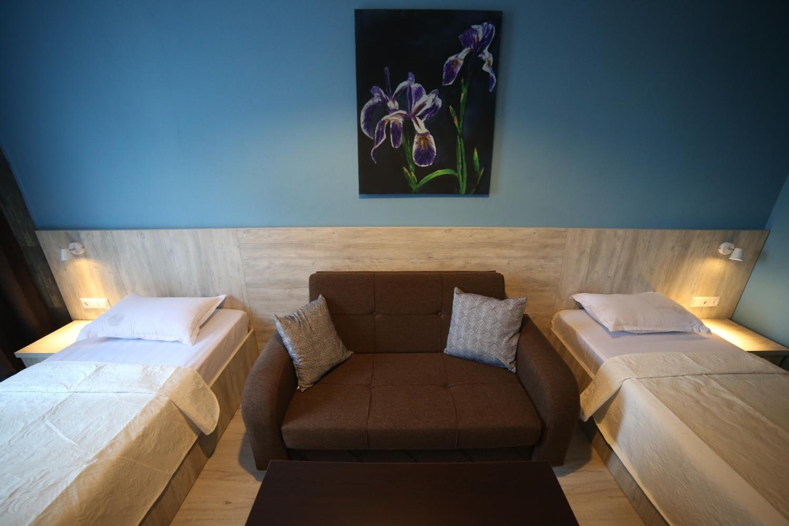 Large Double or Twin Room