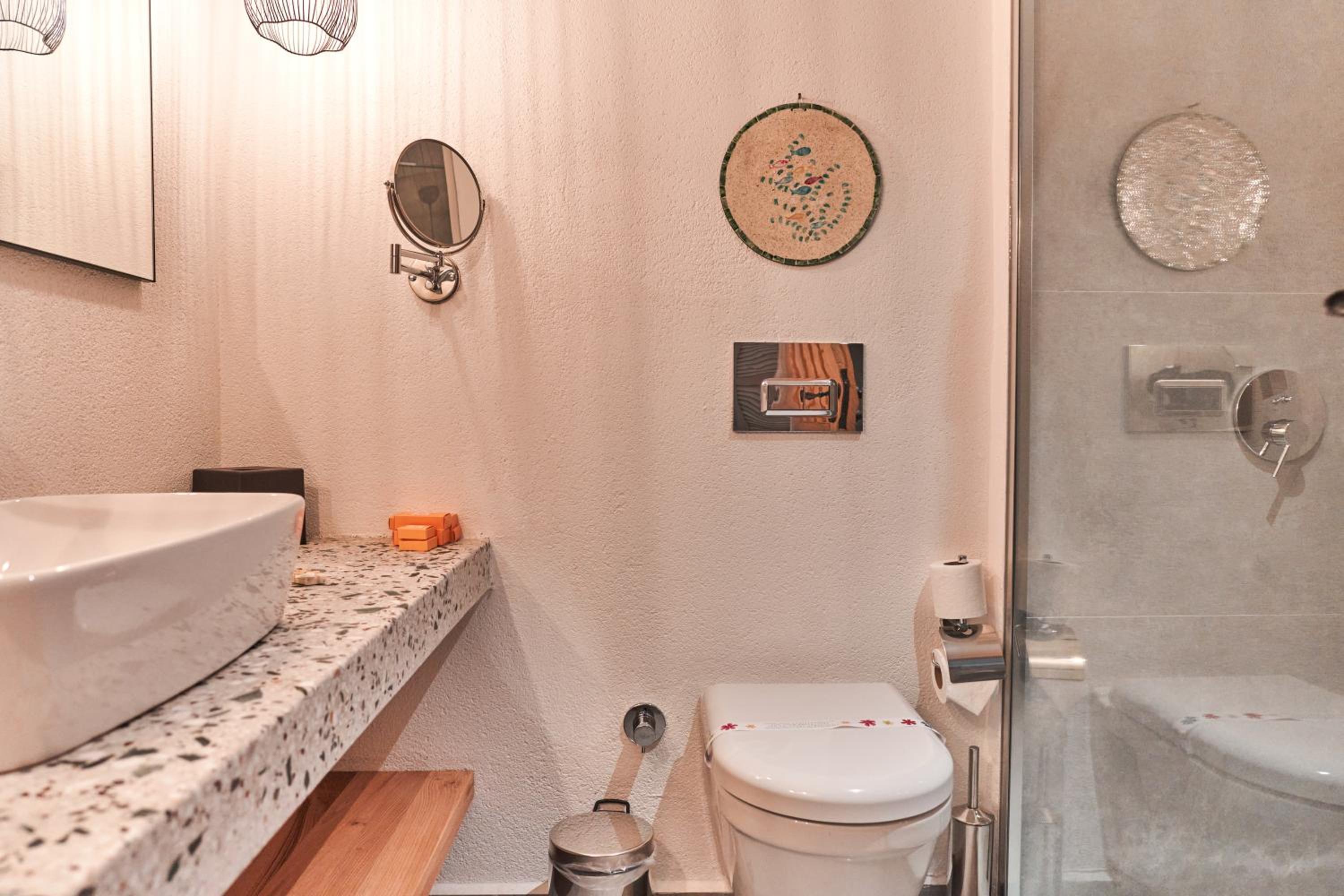 Double Room with Swimming Pool Access