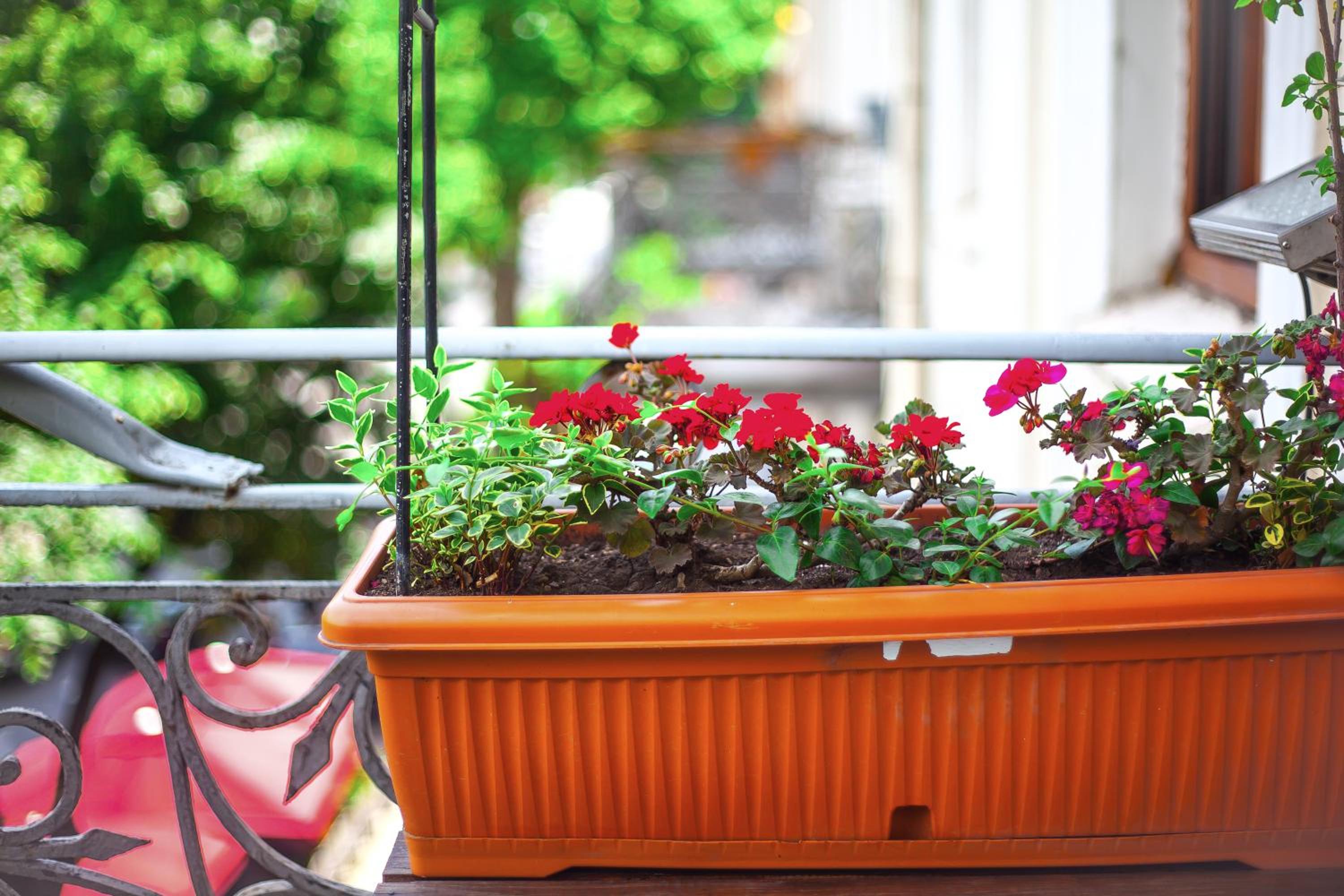 Standard Double Room with Balcony