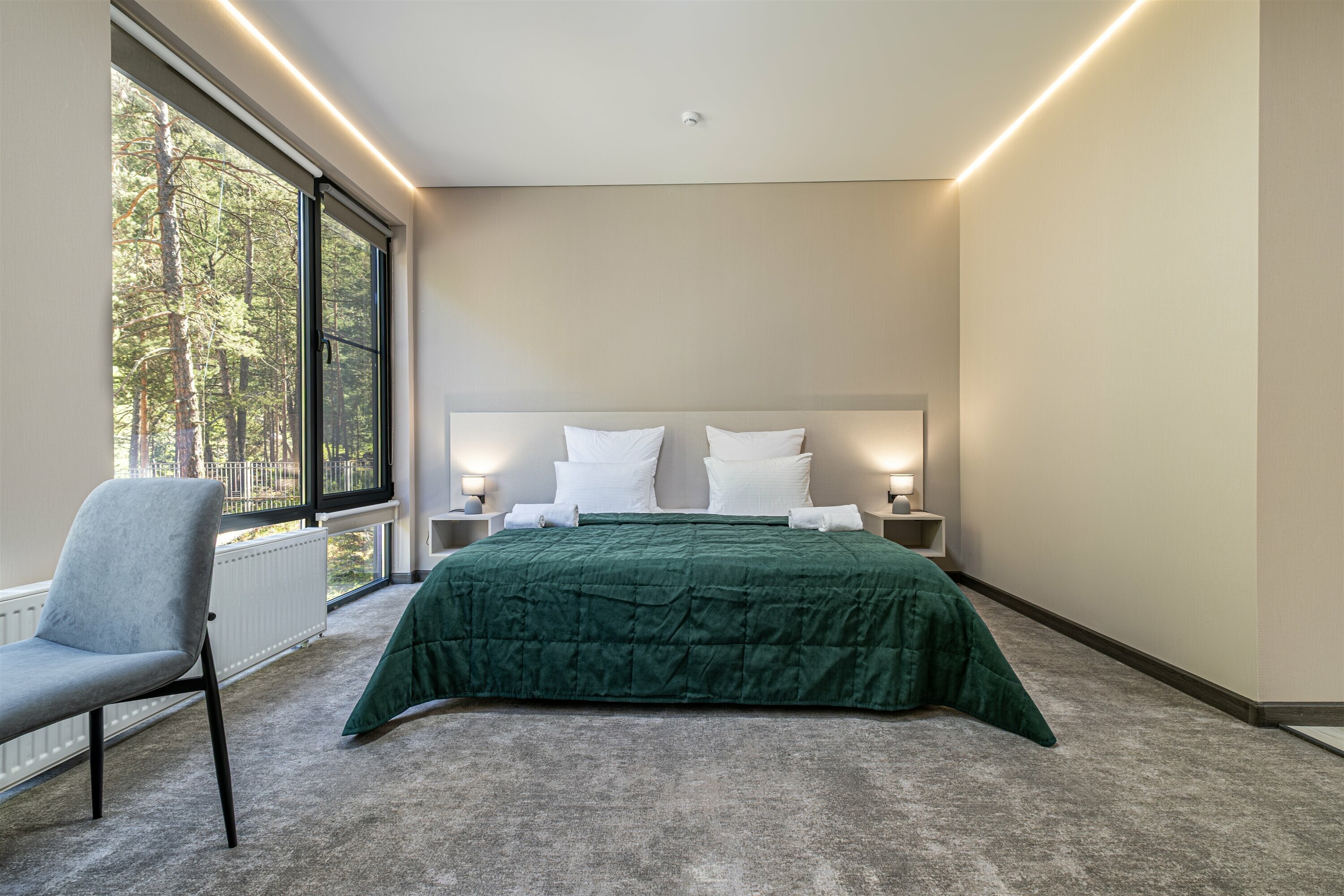 Двухместный номер Делюкс с 2 отдельными кроватями