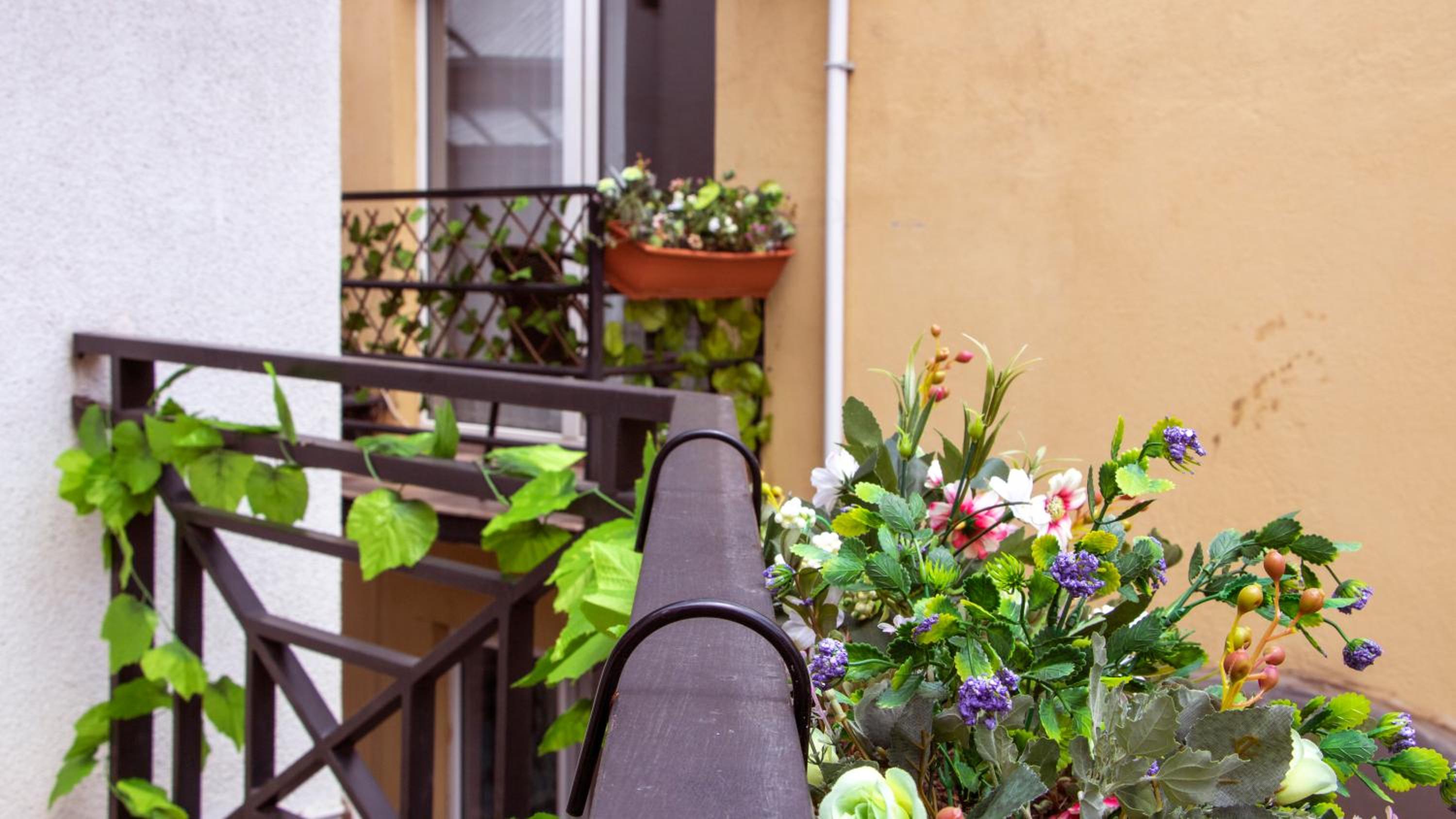 Budget Double Room with Balcony