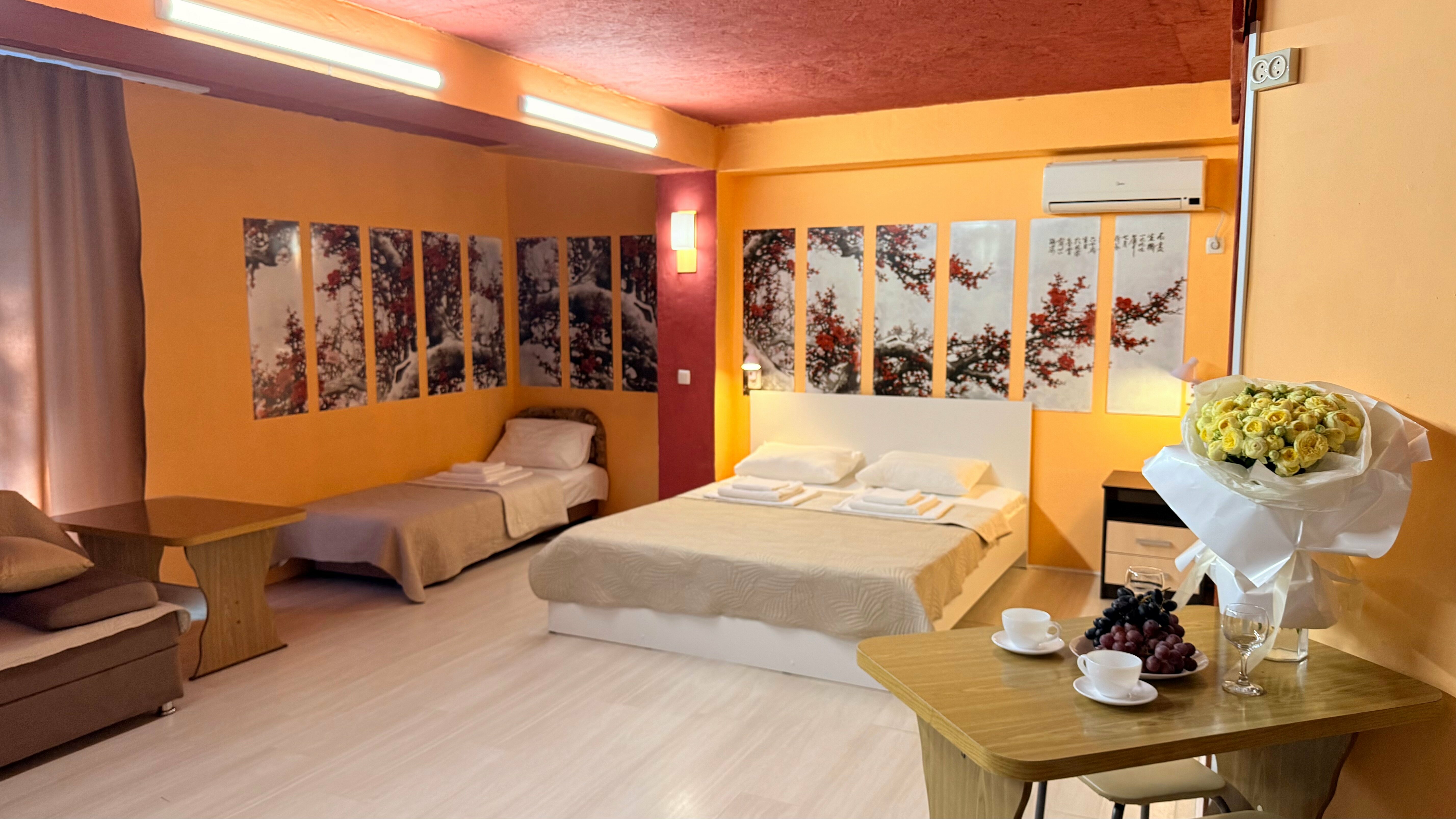 Студия с крытой террасой и кухней