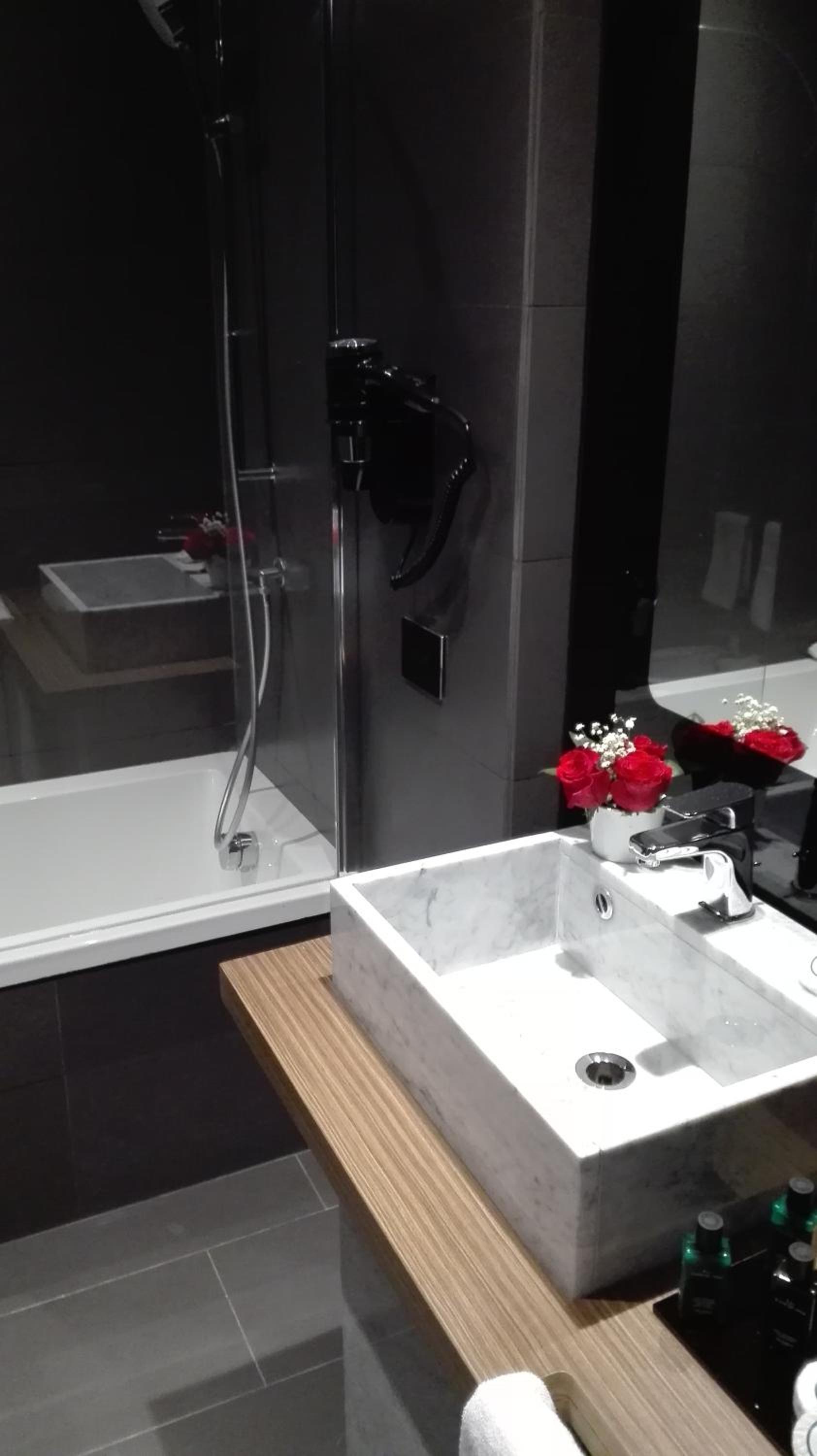 Double or Twin Room