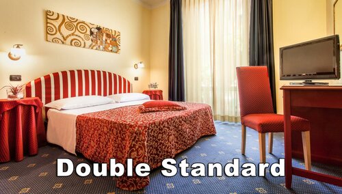 Standard Double Room в Hotel Da Vinci
