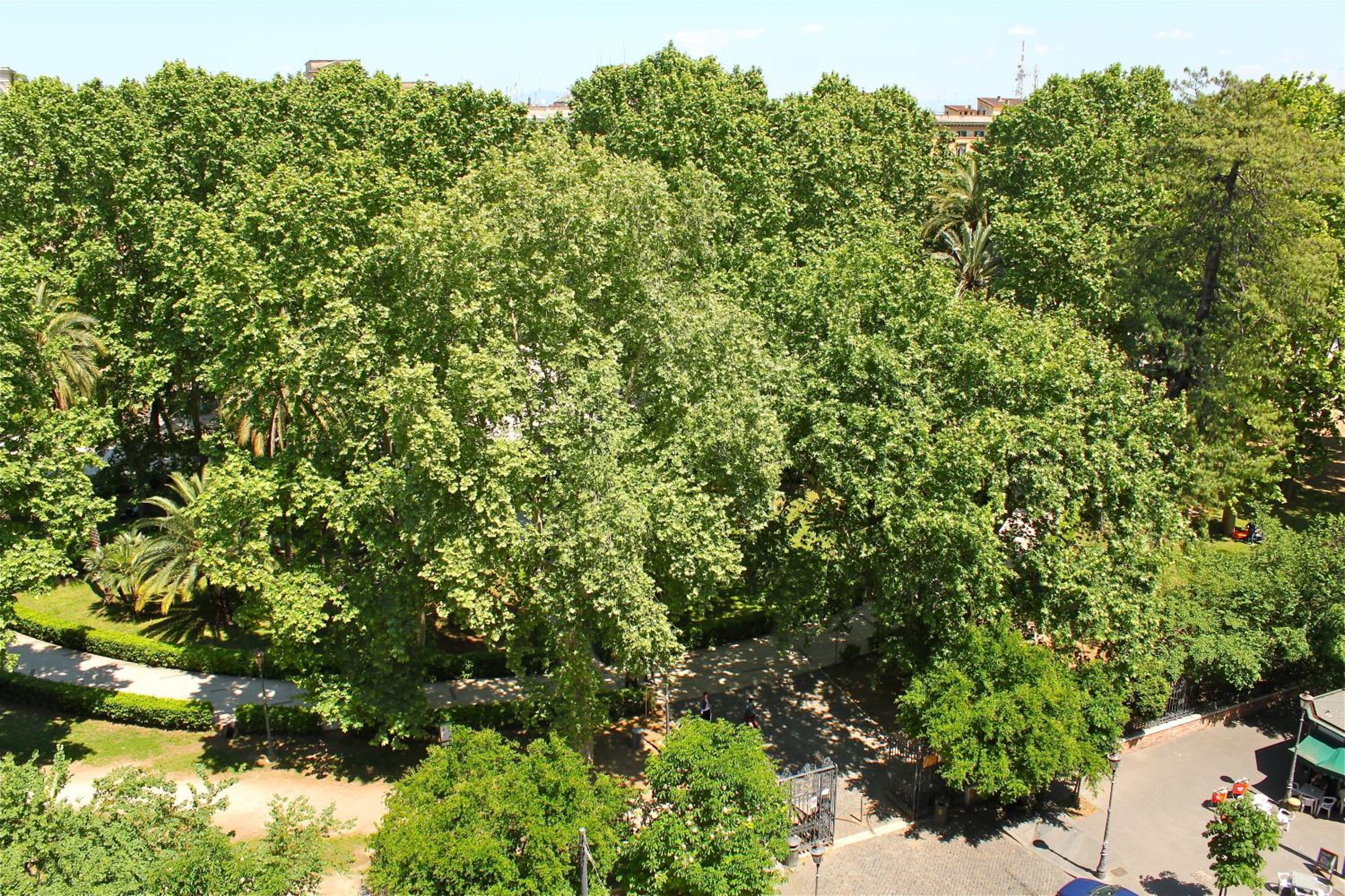 Classic Double Or Twin Room With View