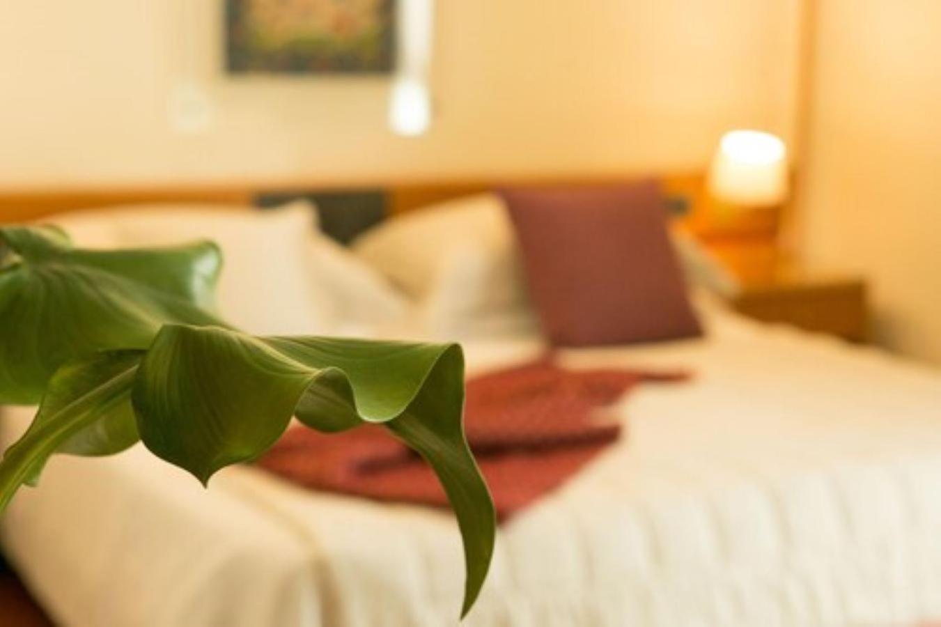 Classic Room - Annex