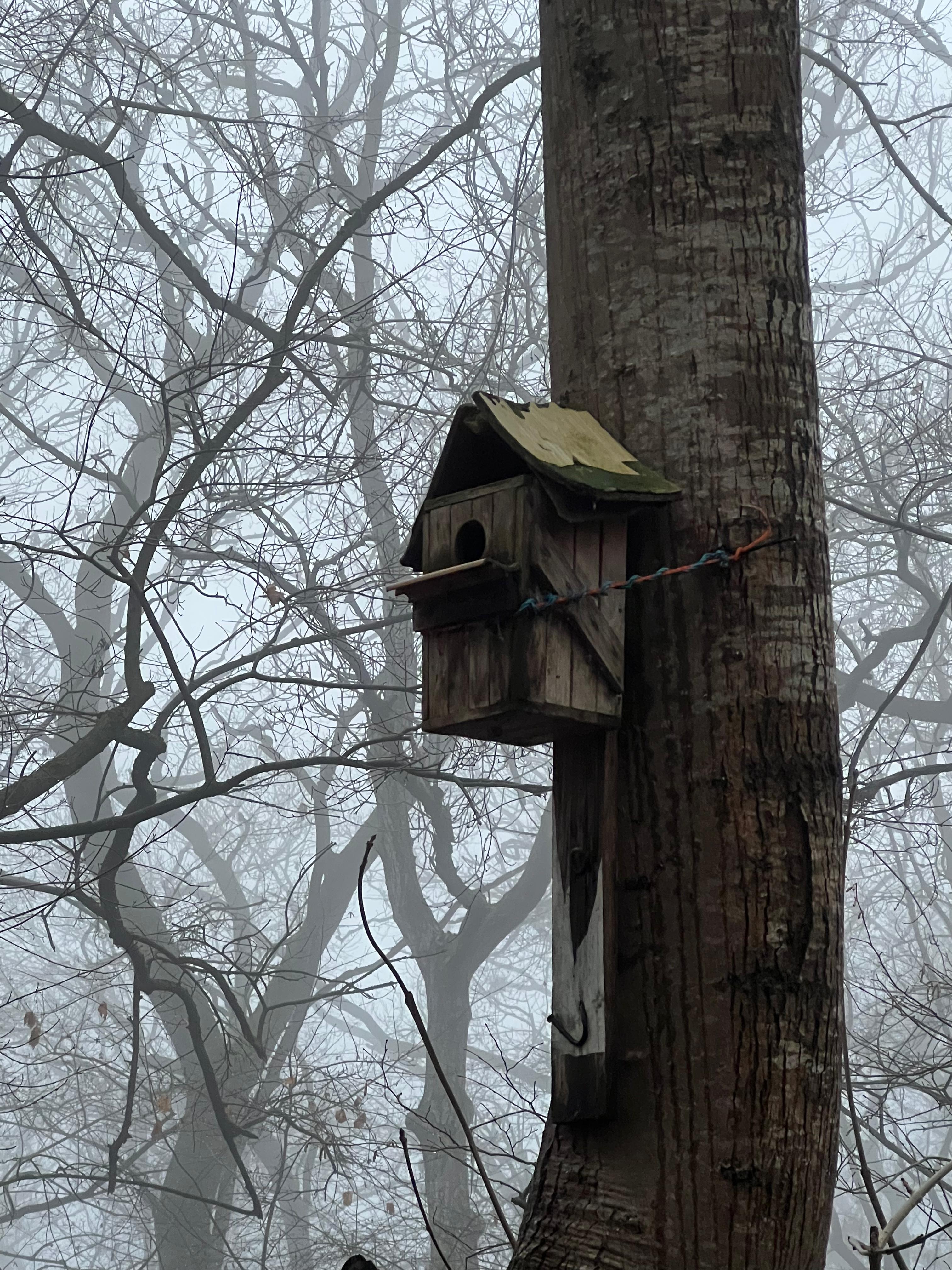 Дом для отпуска