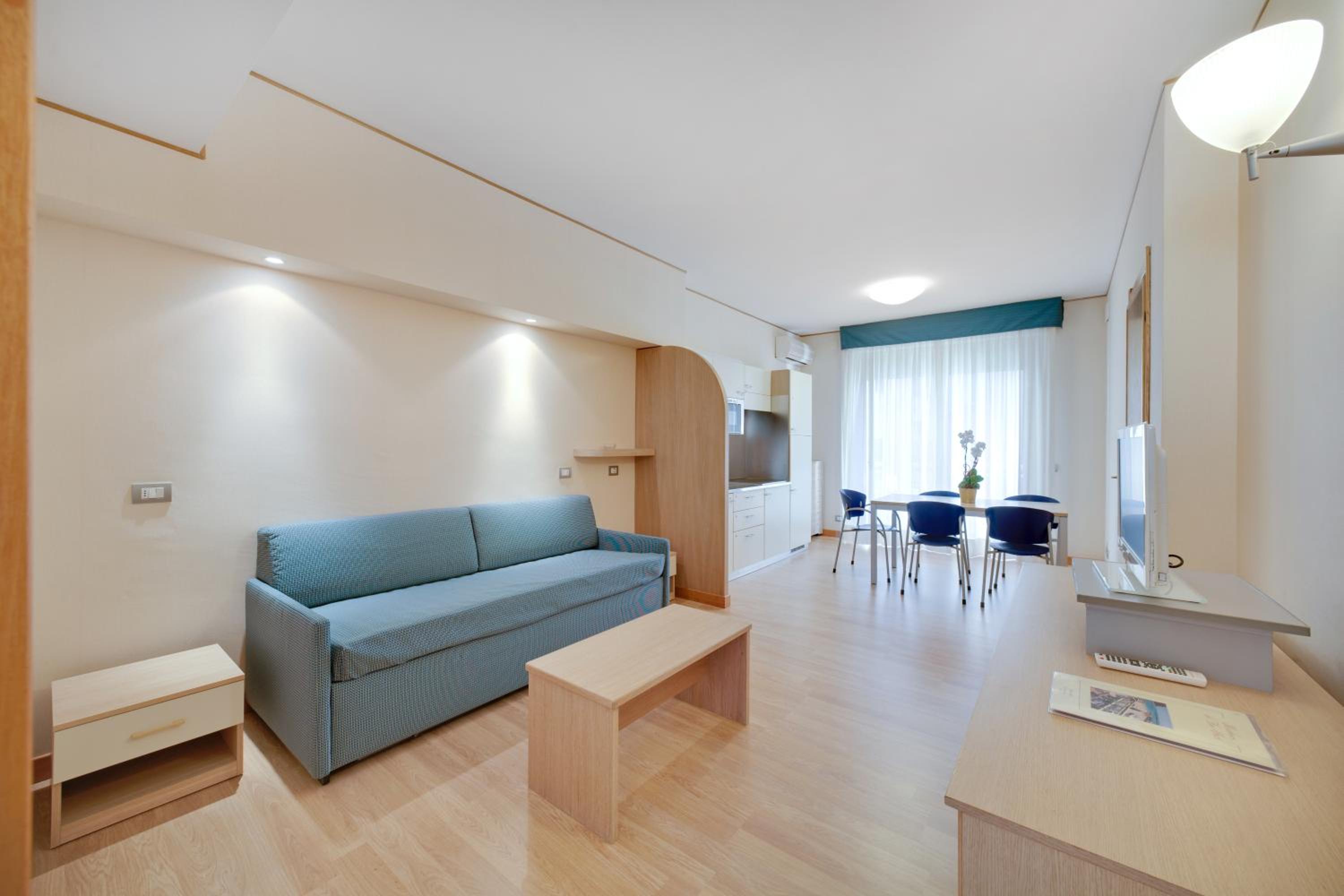 Large One-Bedroom Apartment