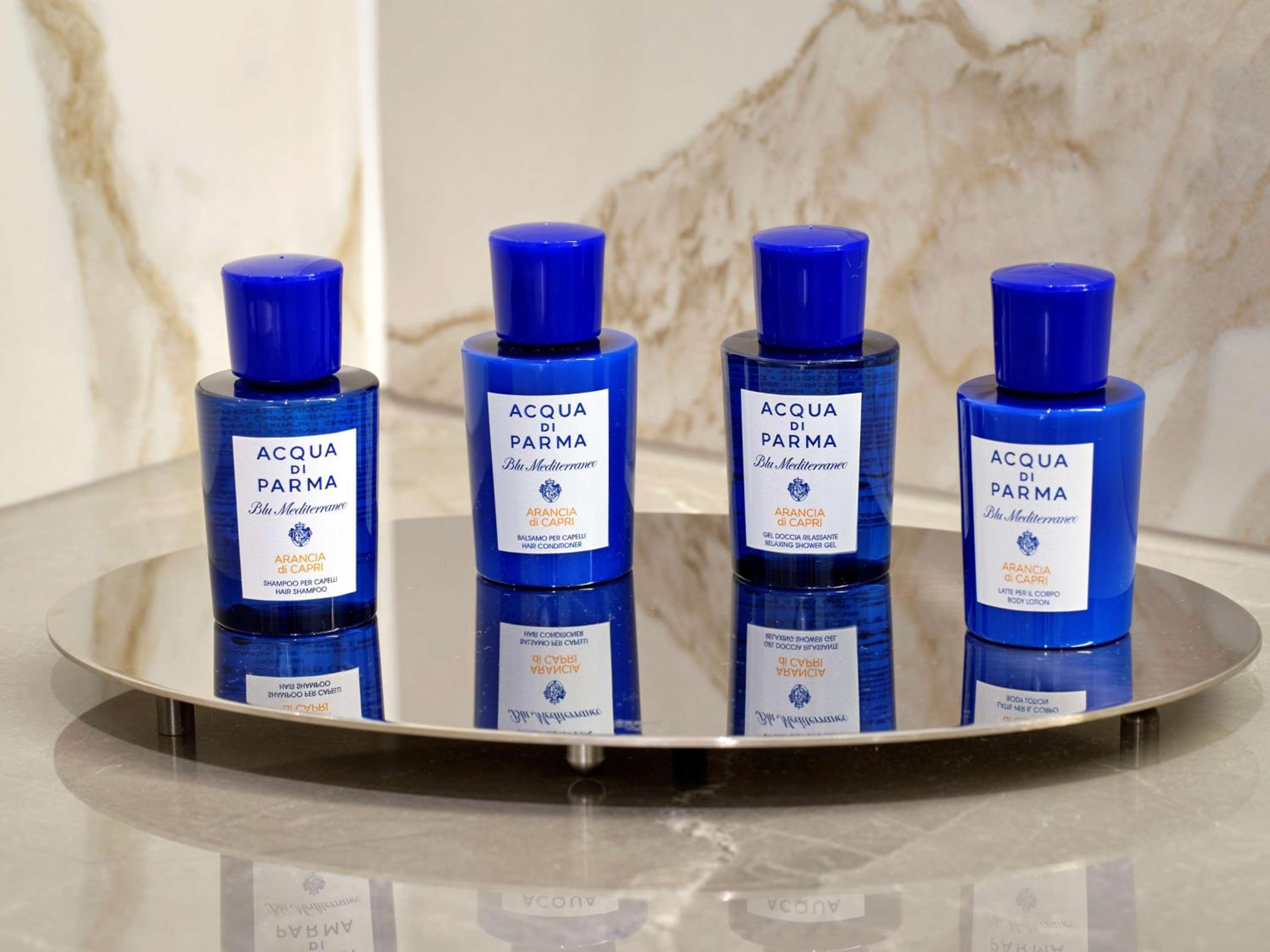 Collection Room - Garden View