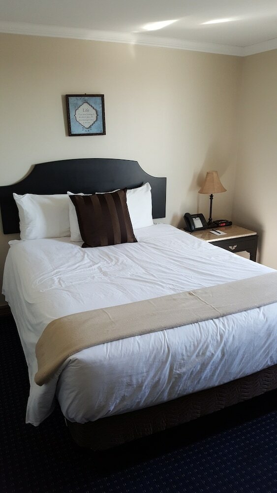 Executive Suite (No pets allowed)