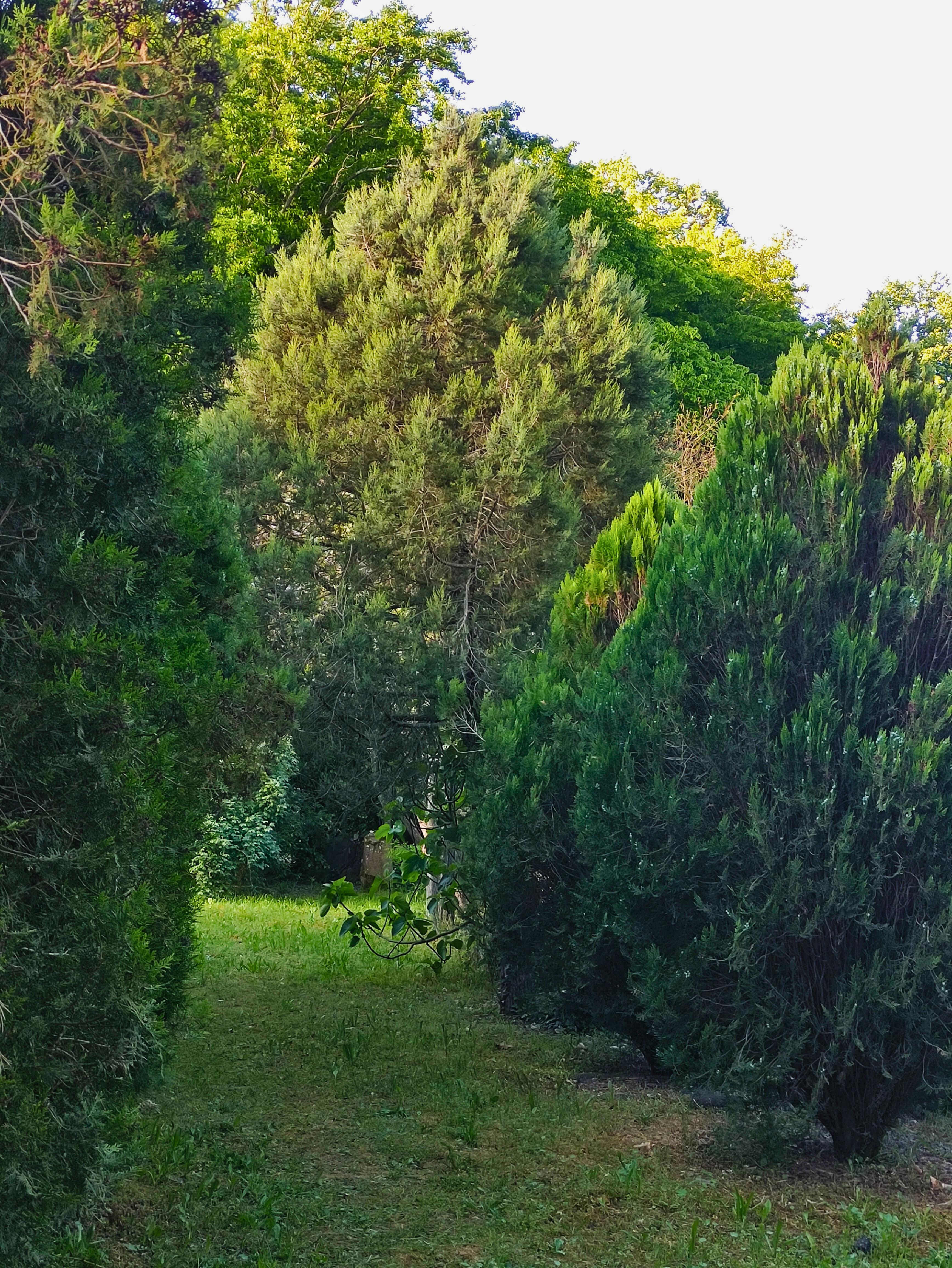 Семейный номер