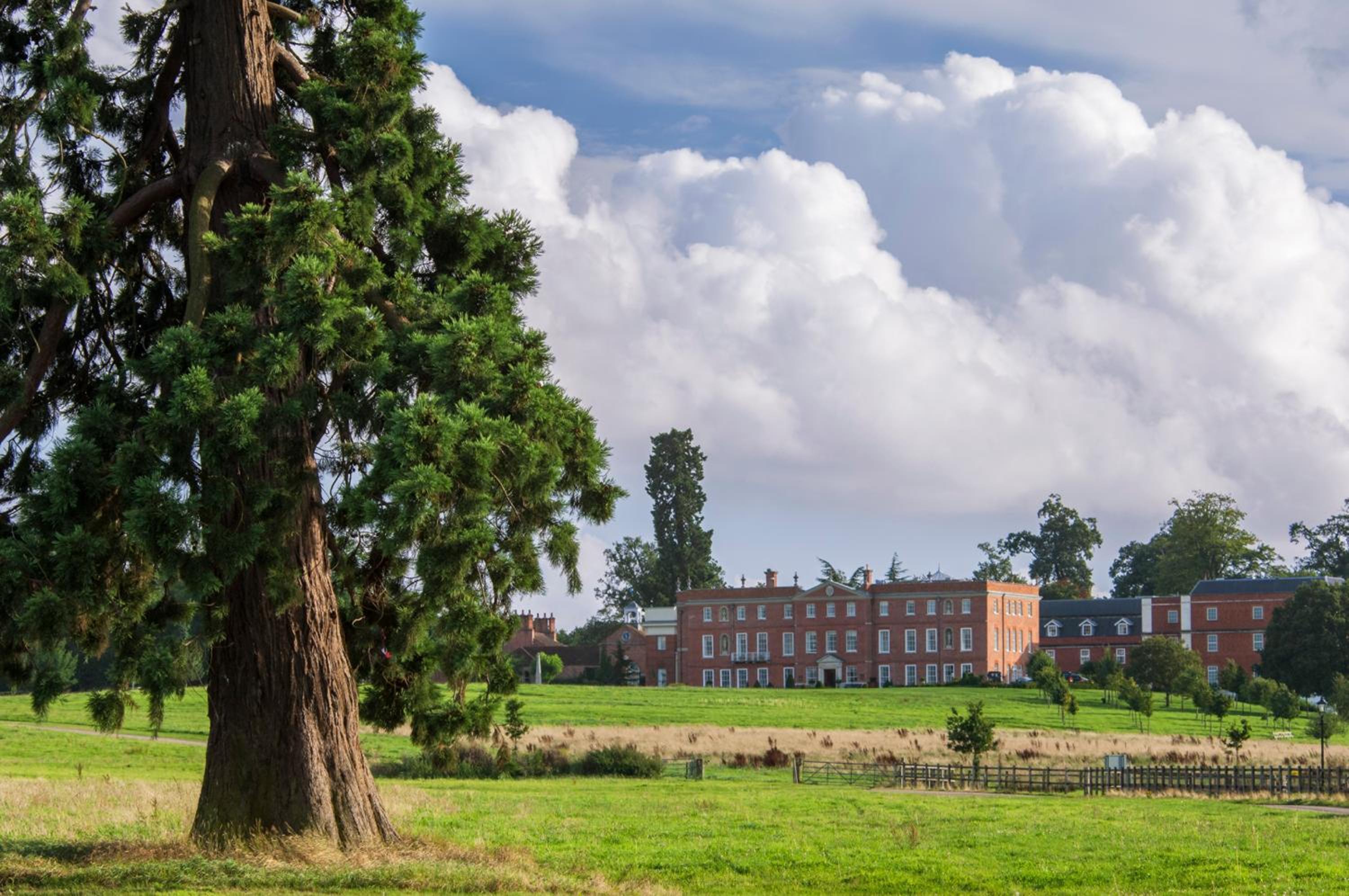  Mews Deluxe Accessible Room King Bed