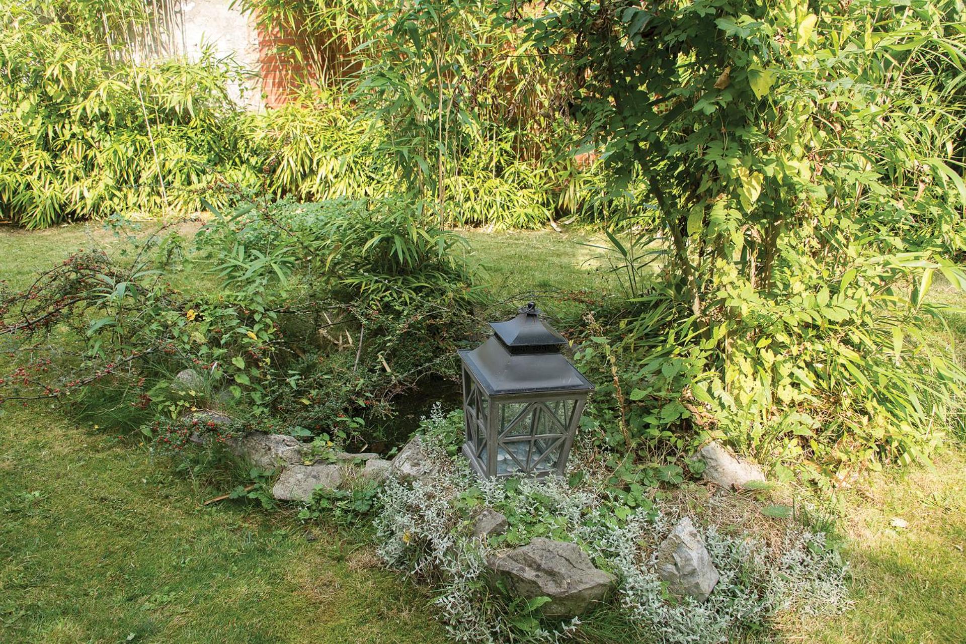 Apartment with Garden View