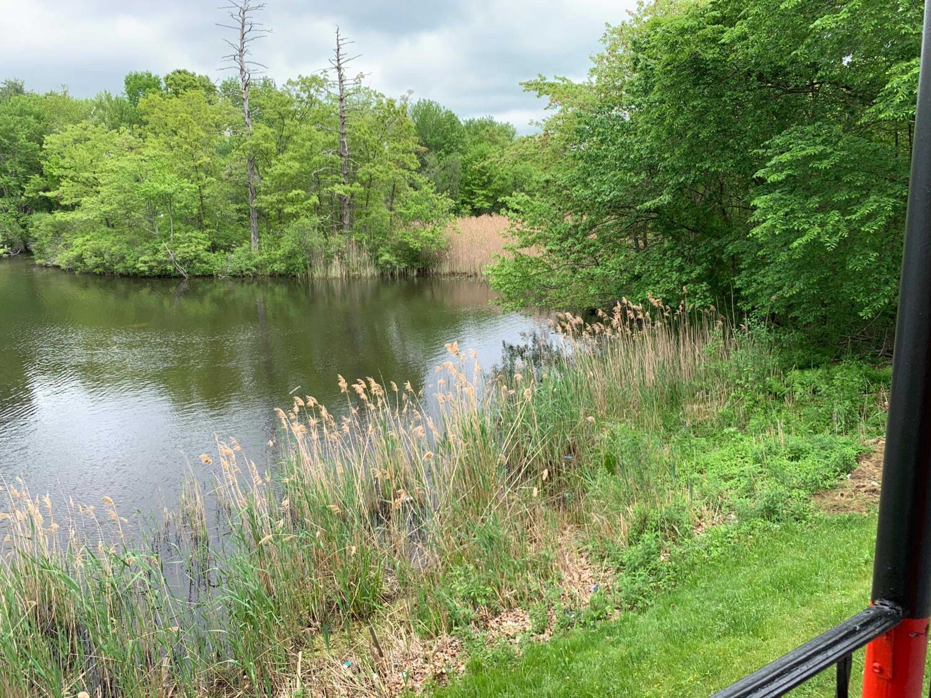 Deluxe King Studio Suite with Lake View - Non-Smoking