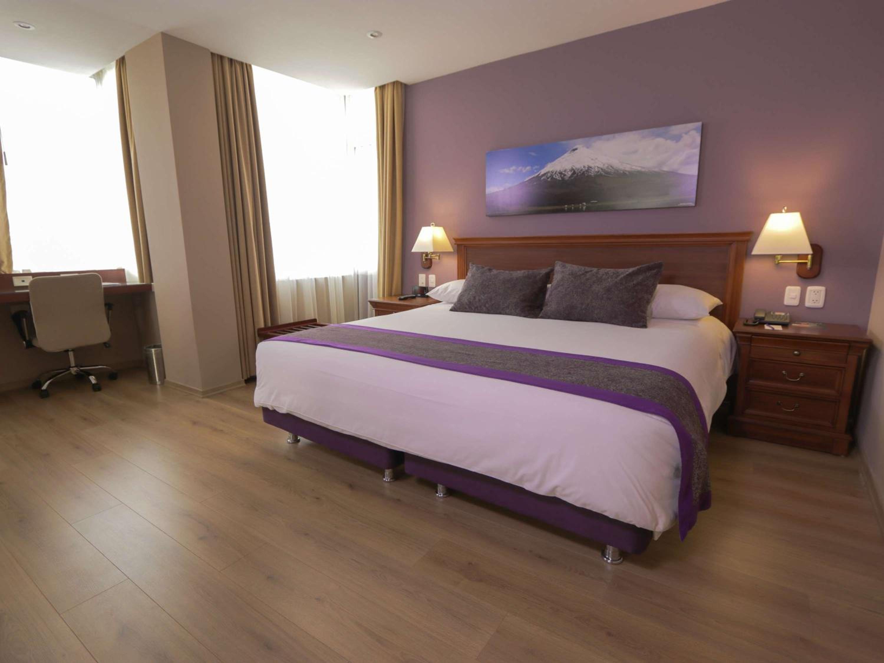 Superior King Room with One King Bed