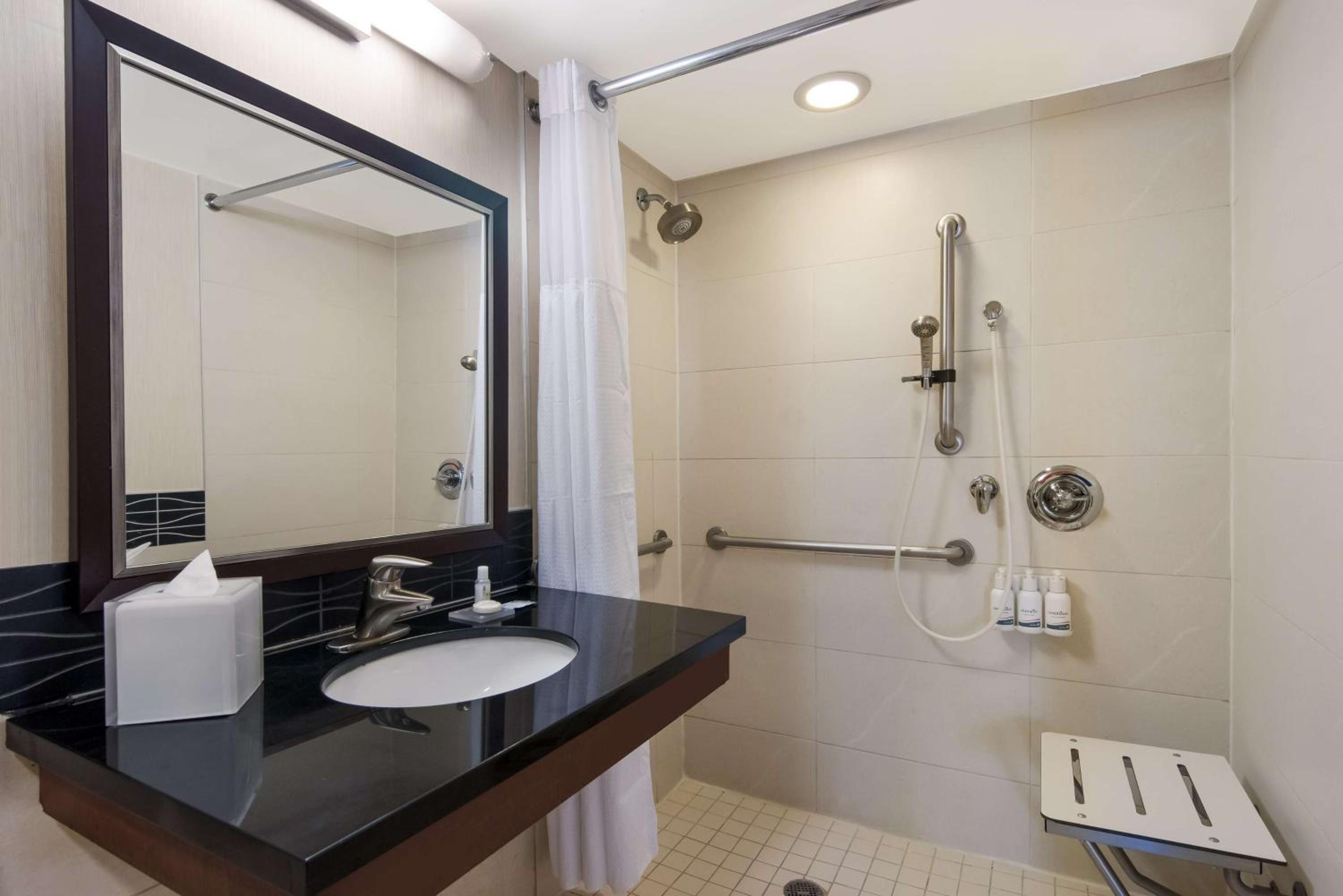 Mobility Accessible One Bedroom Suite King Roll-In Shower