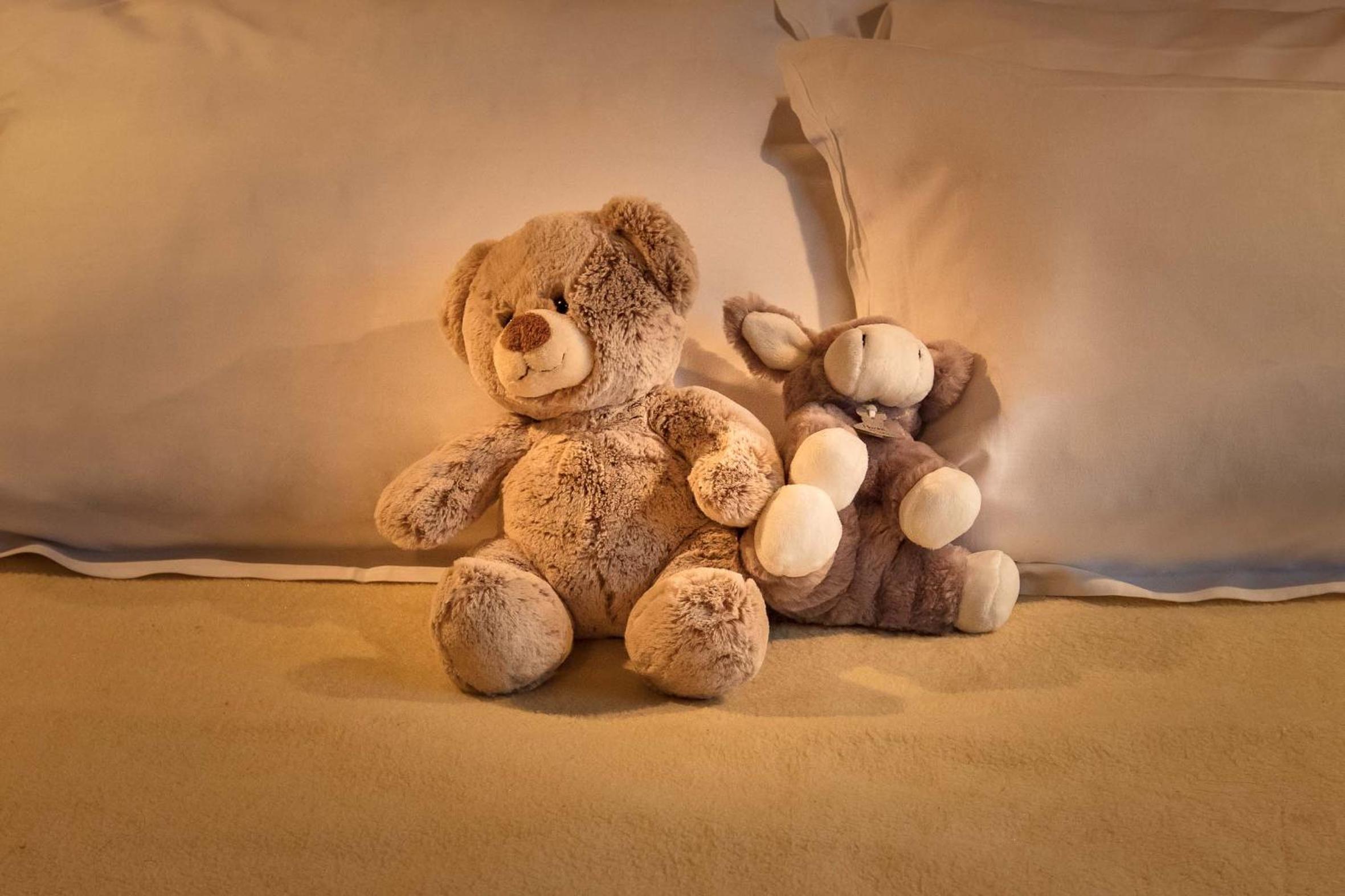 Family Room (2 Adults + 2 Child)