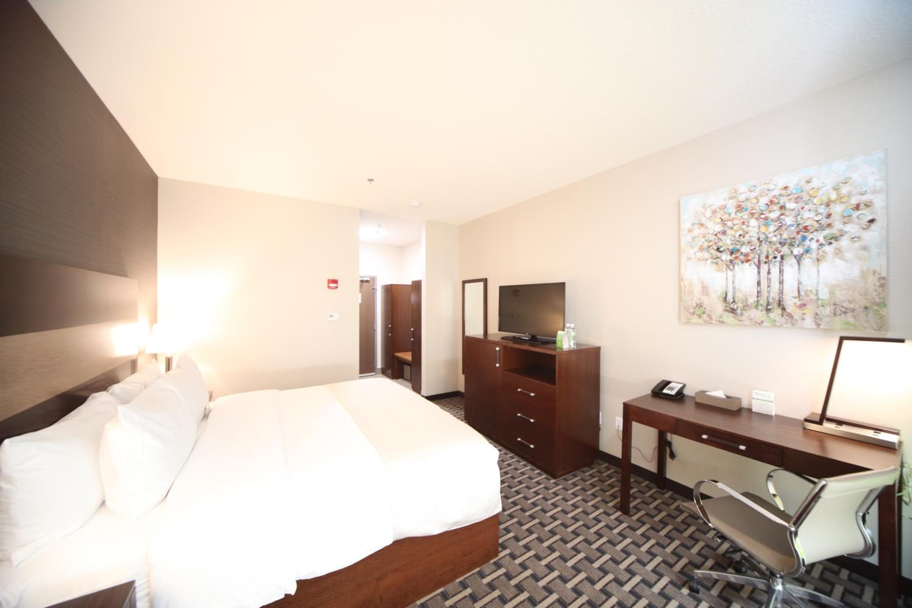 Premium King Room - Pet-Friendly/Non-Smoking