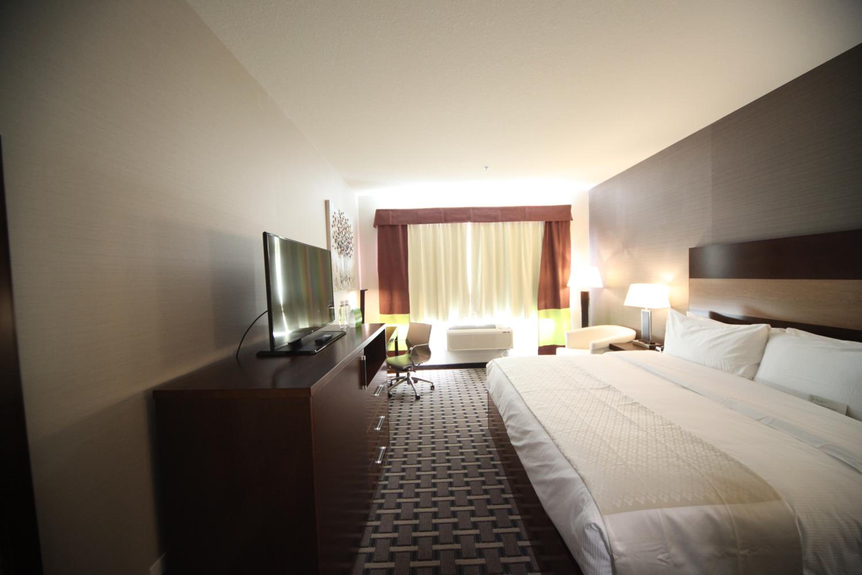 Premium King Room - Pet-Friendly/Non-Smoking