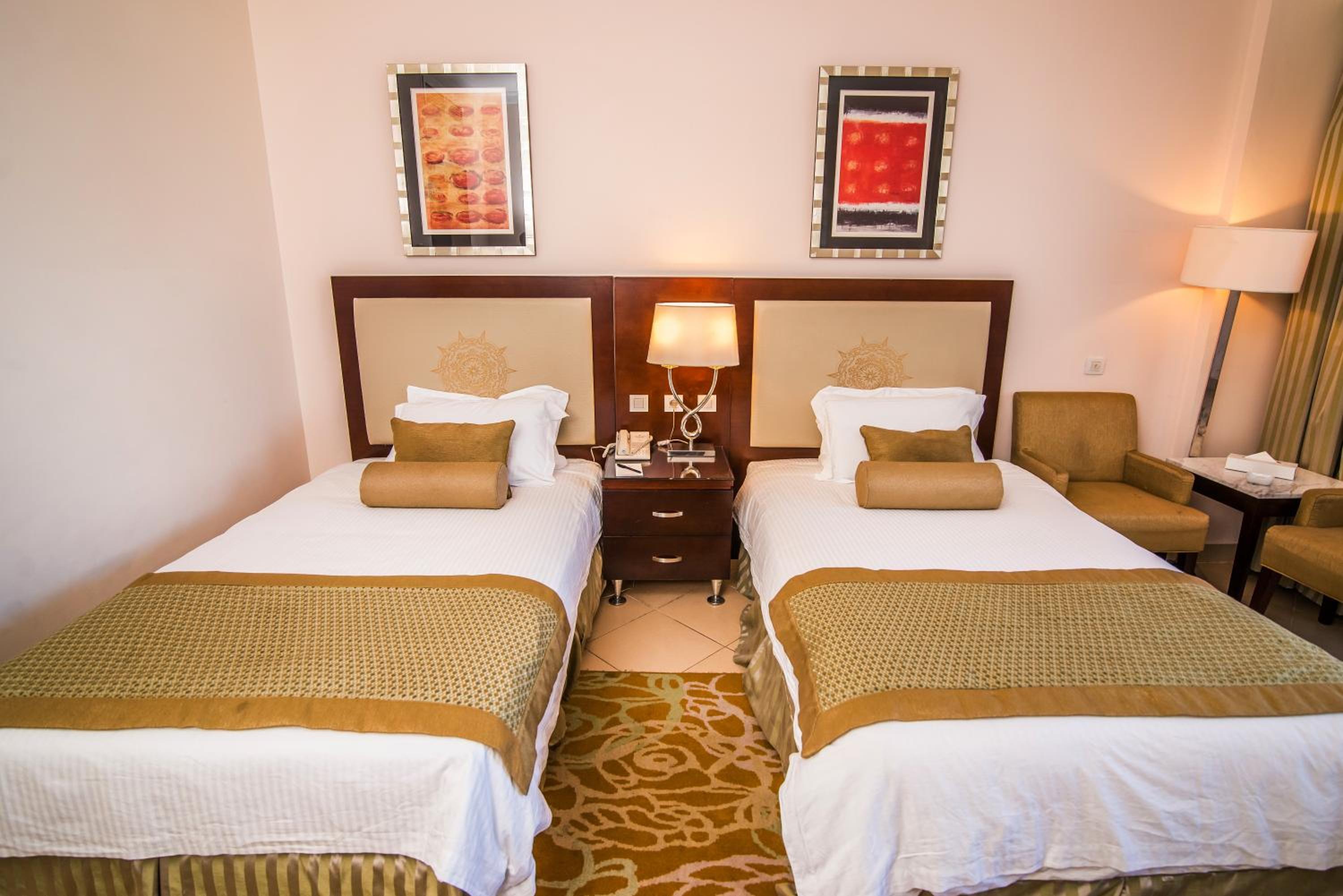 Deluxe Double or Twin Room with City View