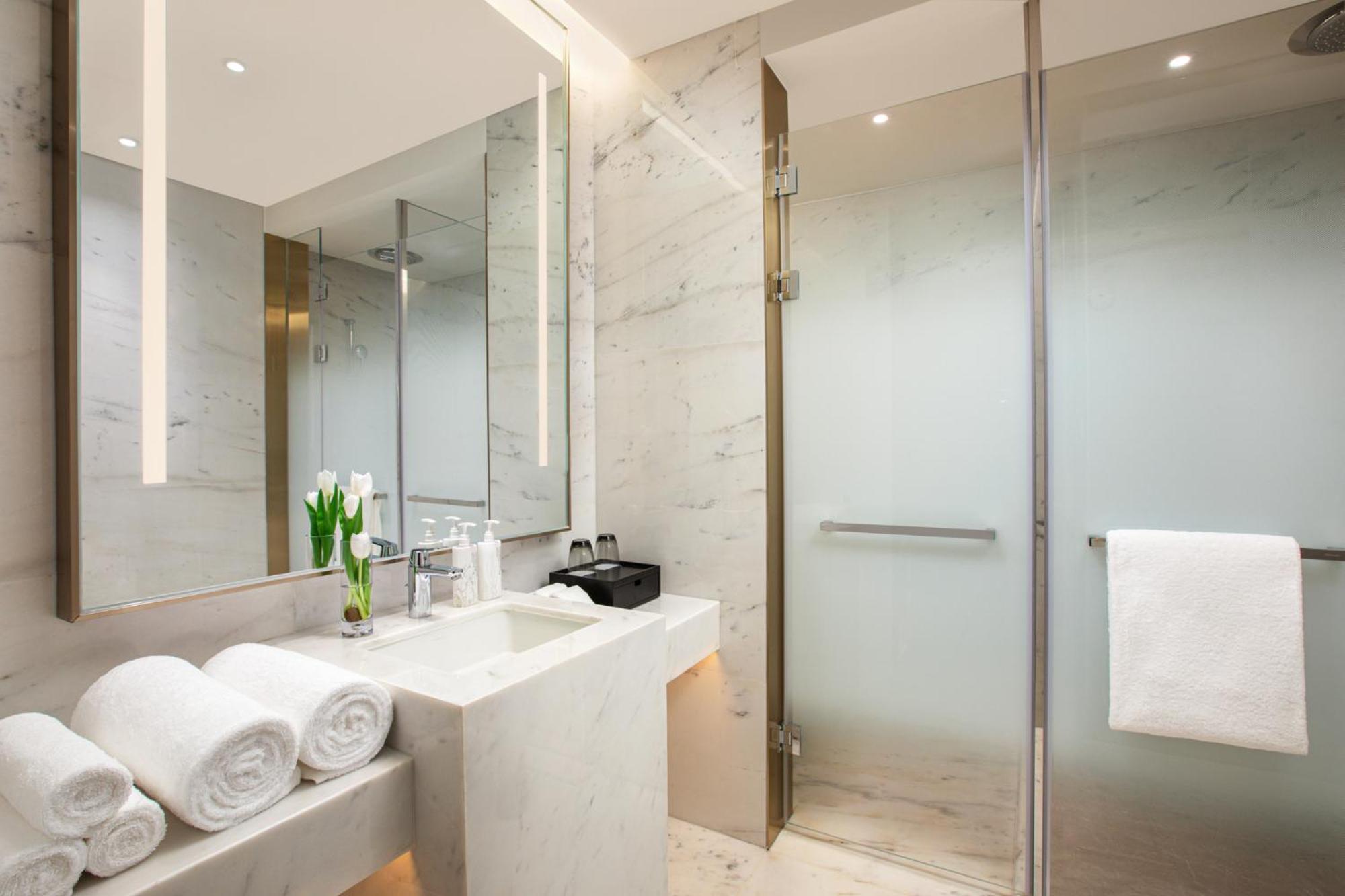 Standard King Room with City View