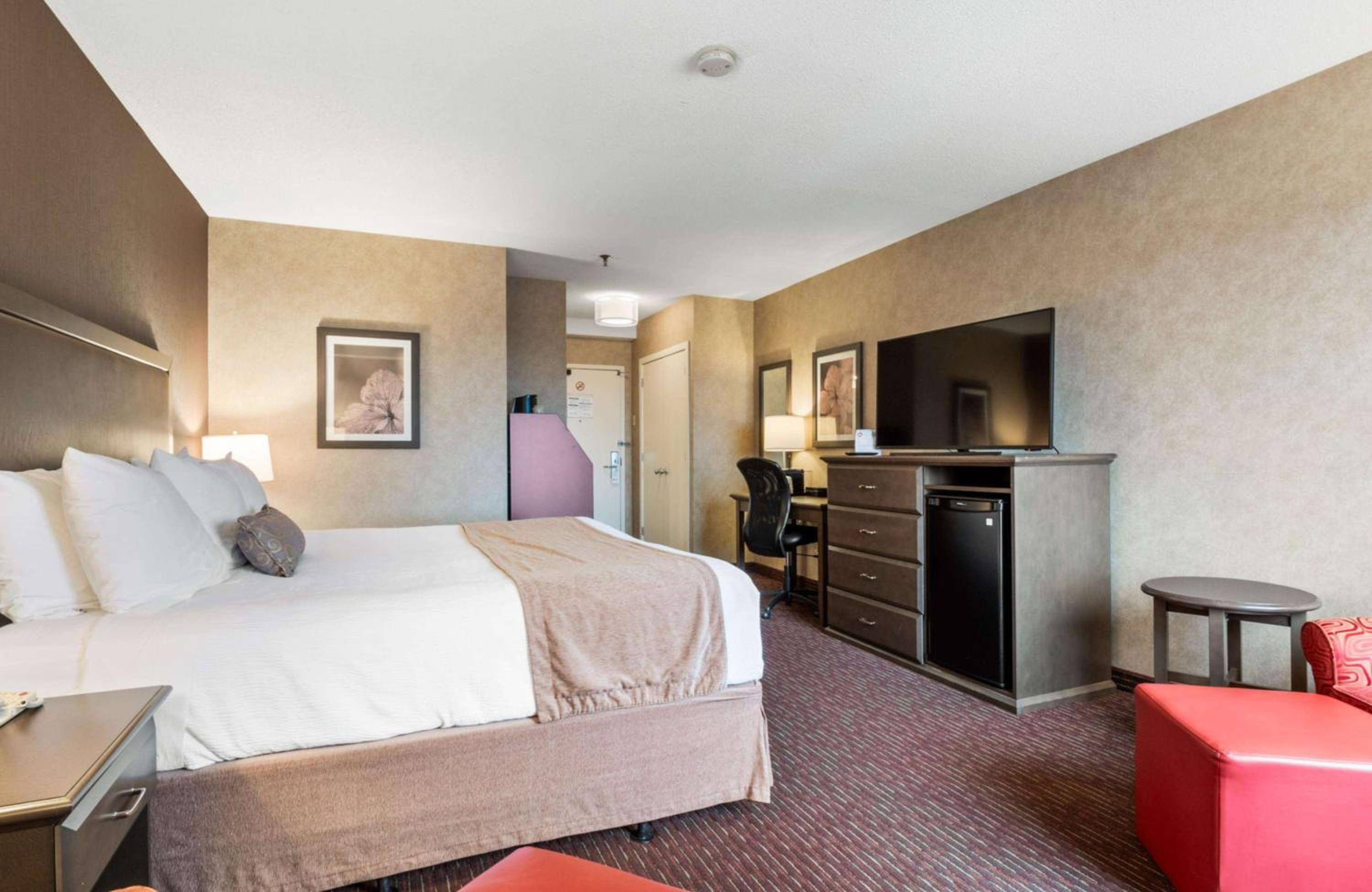 King Room - Non-Smoking