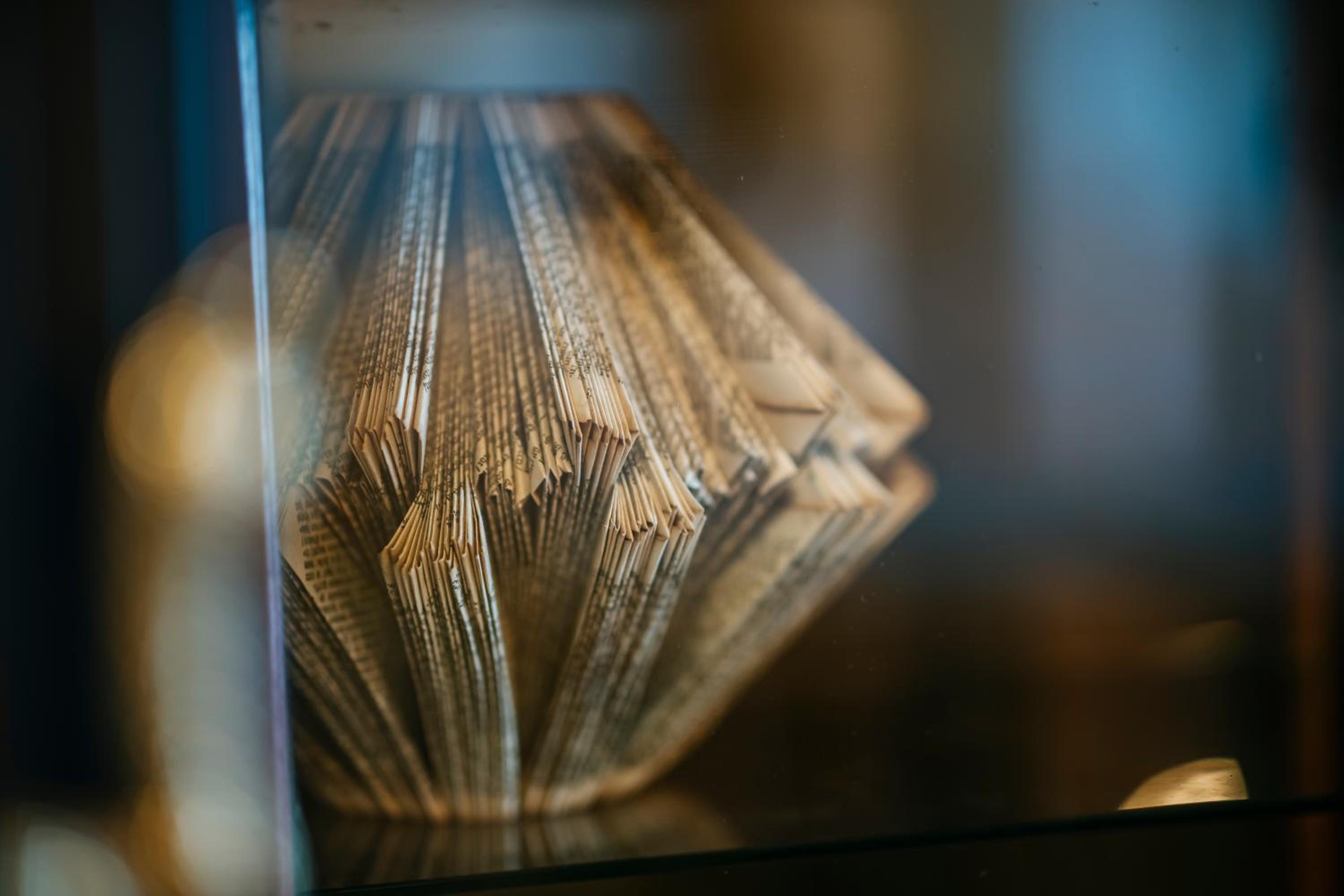 Deluxe Double Room (Hugo de Groot)