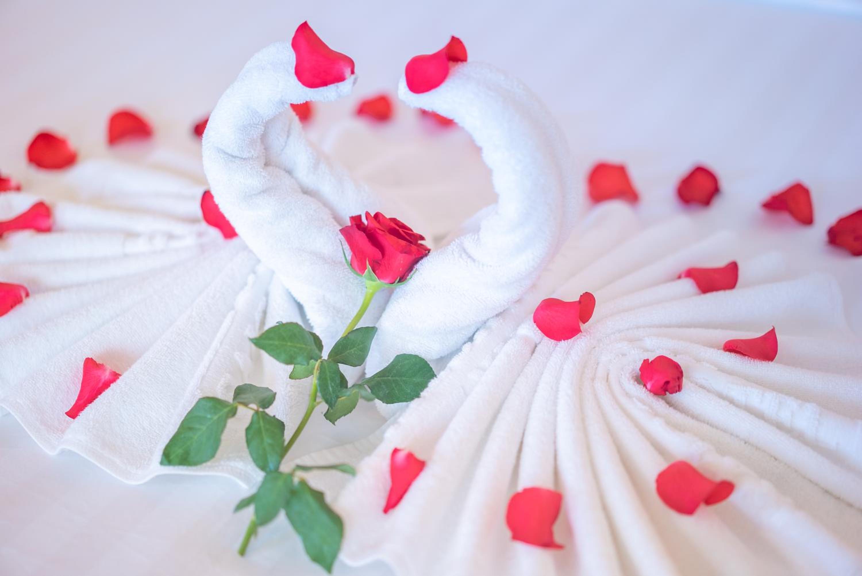 Oscar Elegant Twin Room