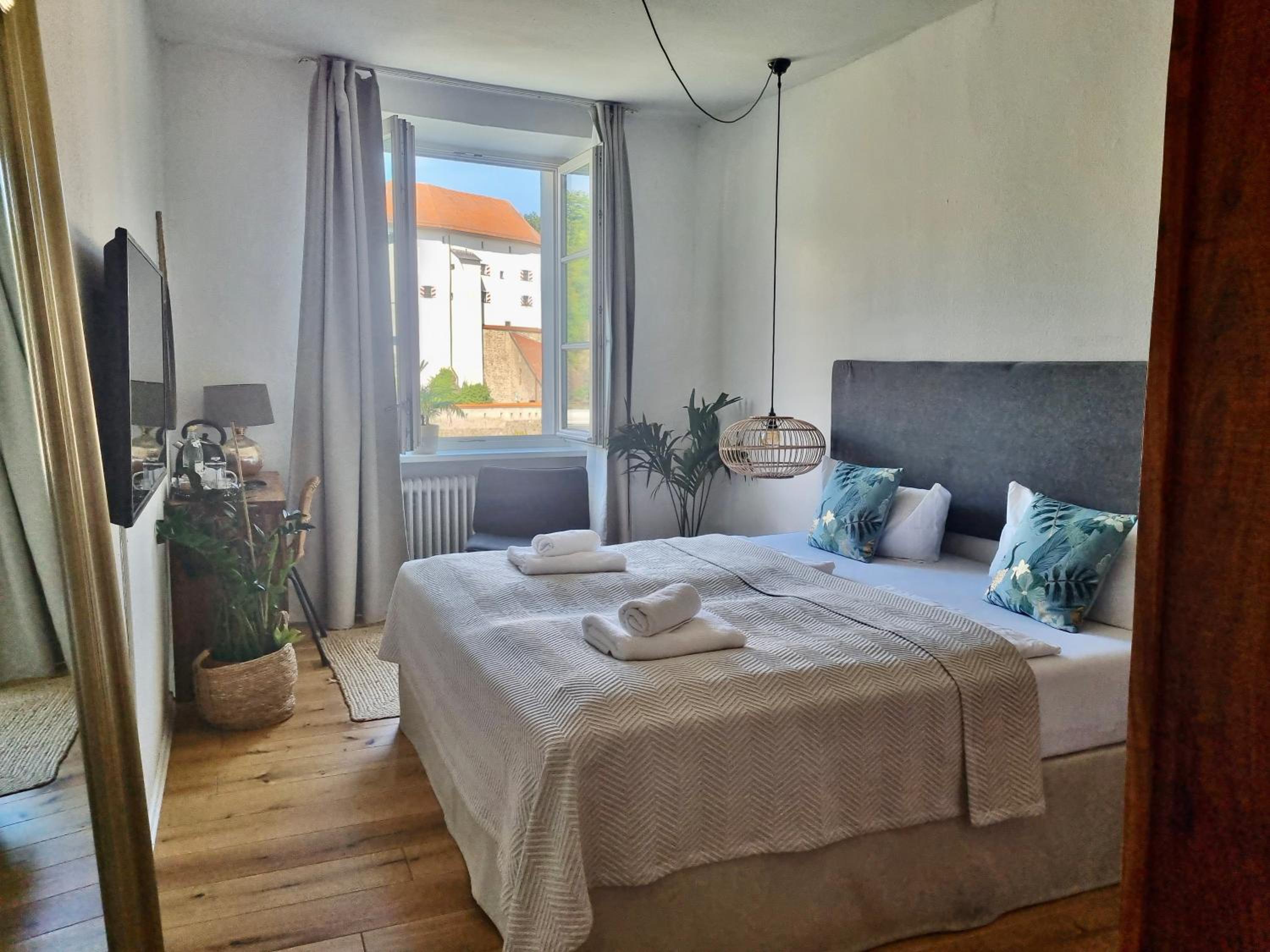 Deluxe Double or Twin Room with River View