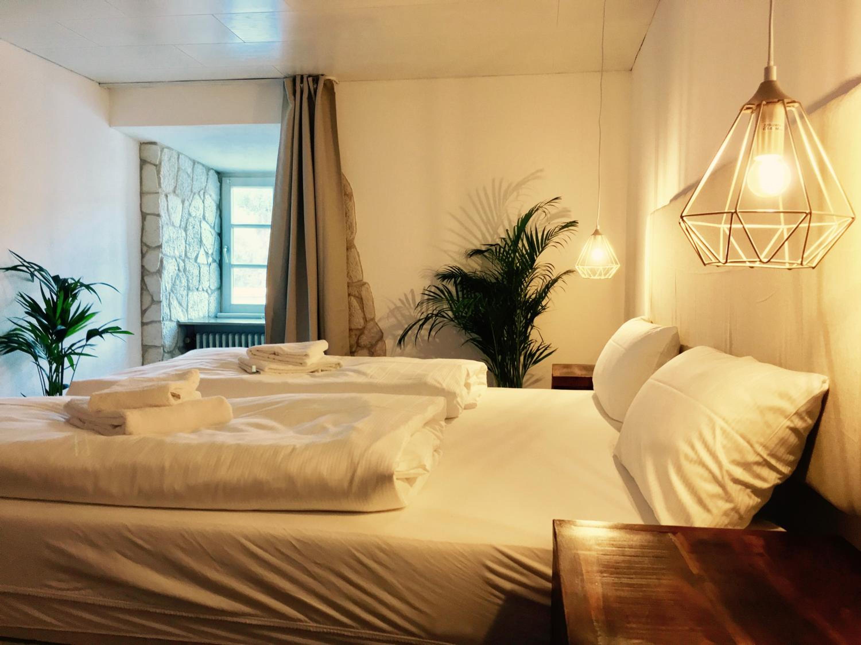 Deluxe Double or Twin Room with River View