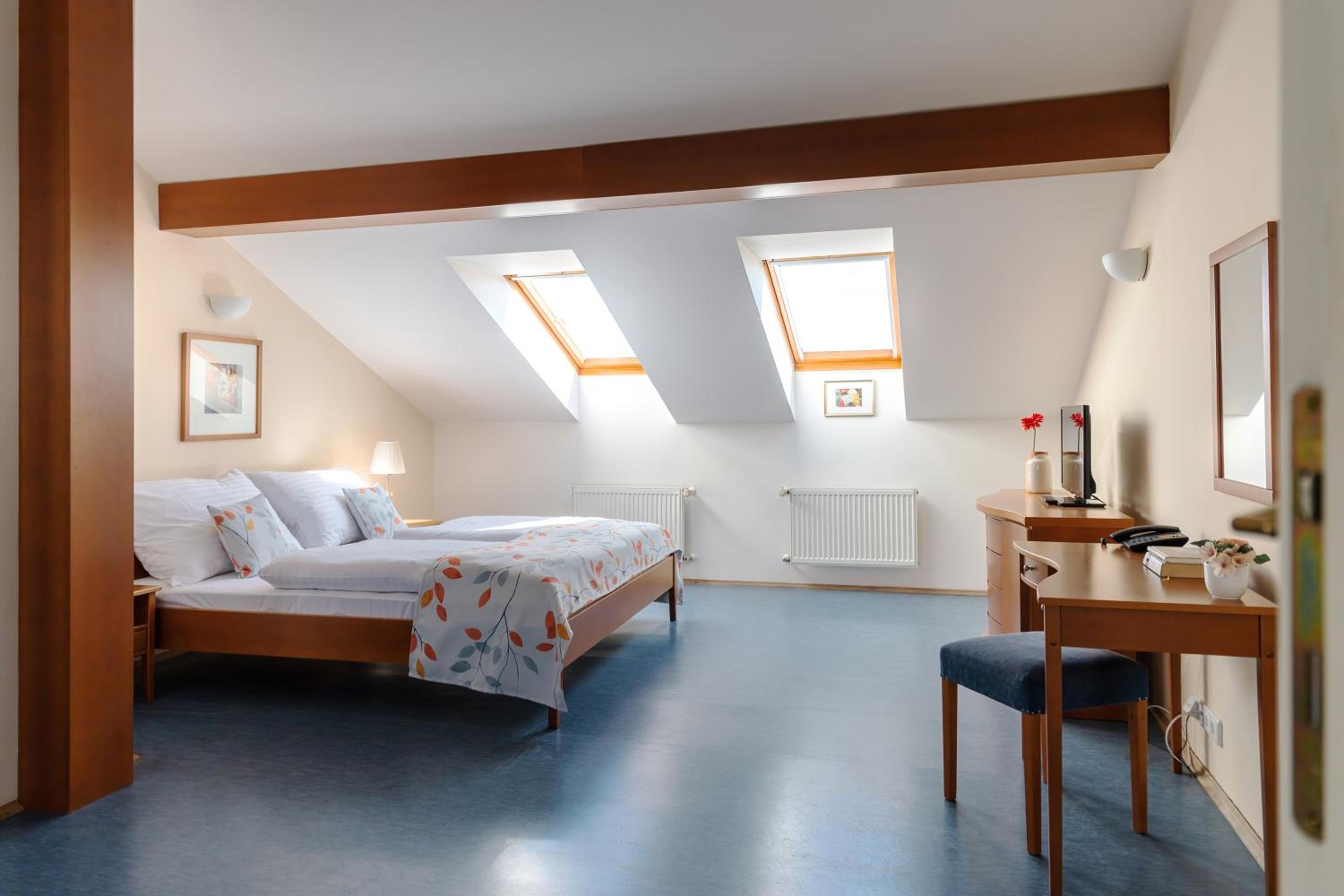 Studio Apartment - Attic