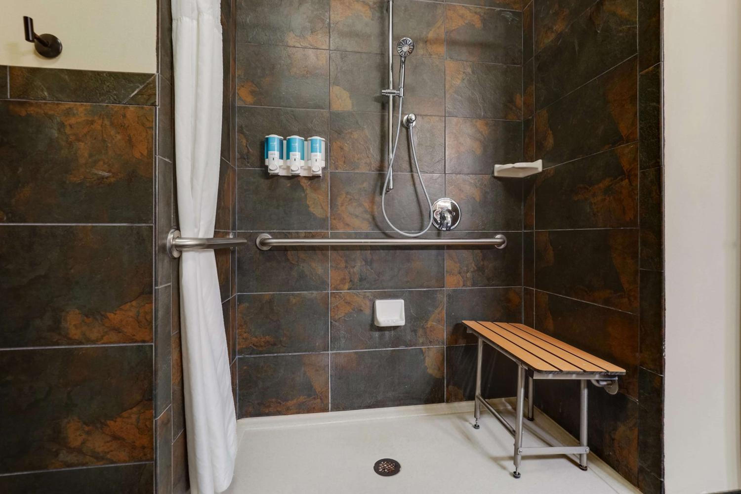 Deluxe King Room - Accessible, Roll-in Shower