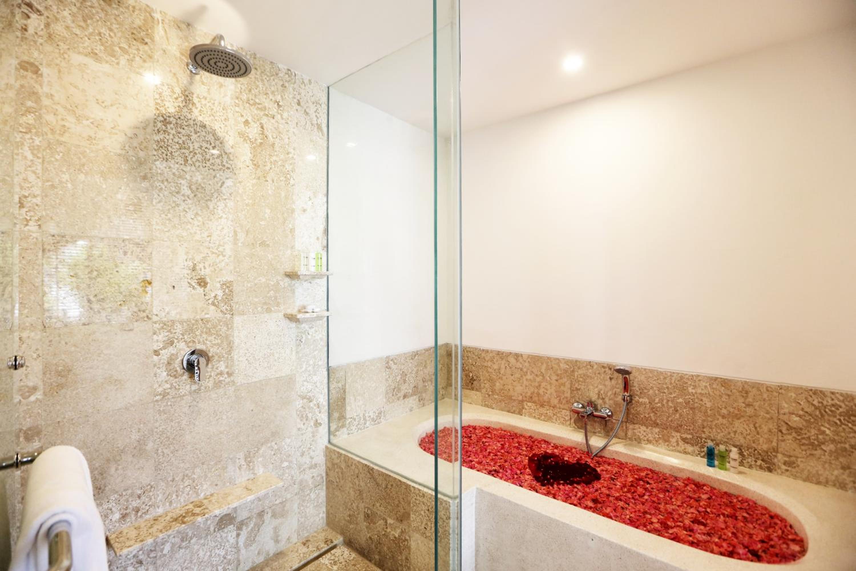 Sabana Deluxe with Pool View