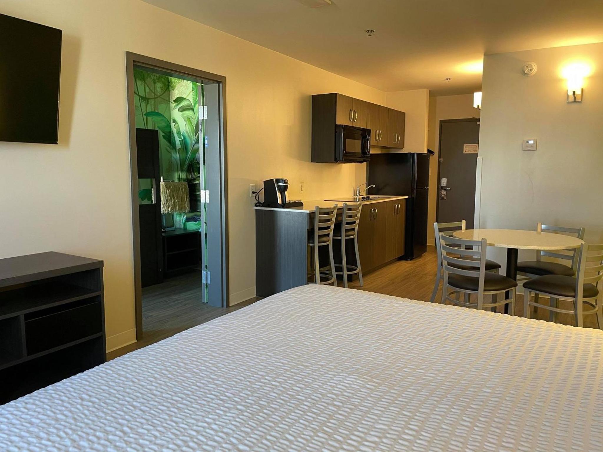 One-Bedroom Efficiency King Room - Jungle Theme/Non-Smoking