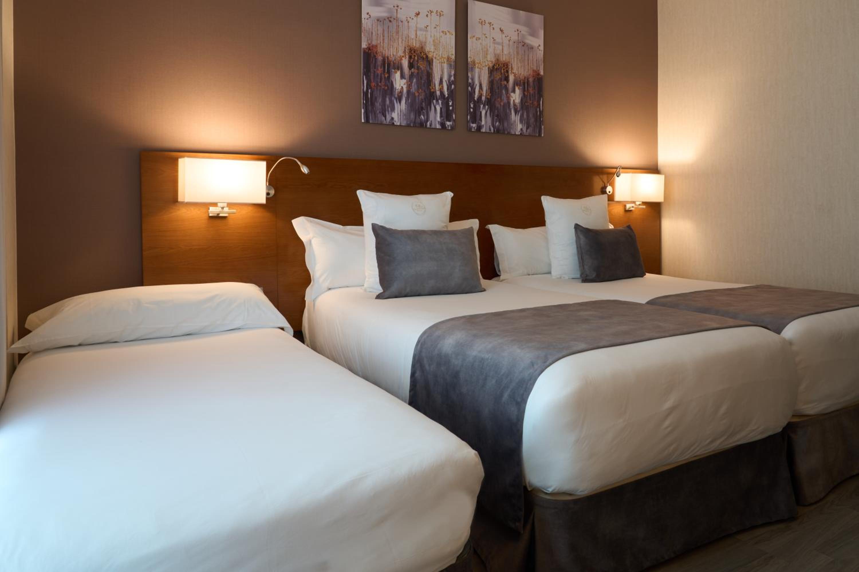 Double or Twin Room with Extra Bed