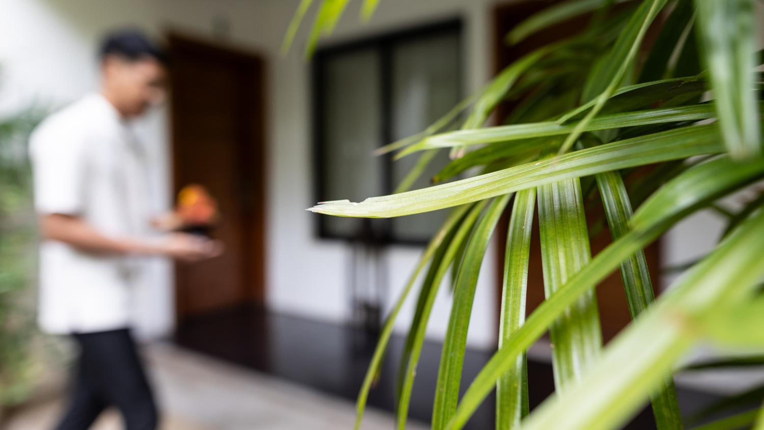 Deluxe Double Bungalow Garden View 