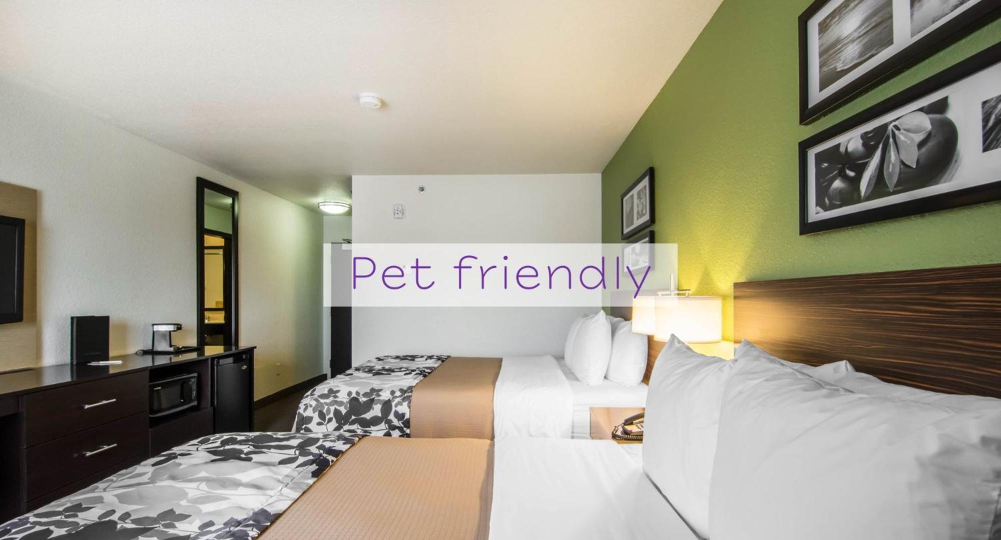 Queen Room with Two Queen Beds - Pet Friendly/Non Smoking