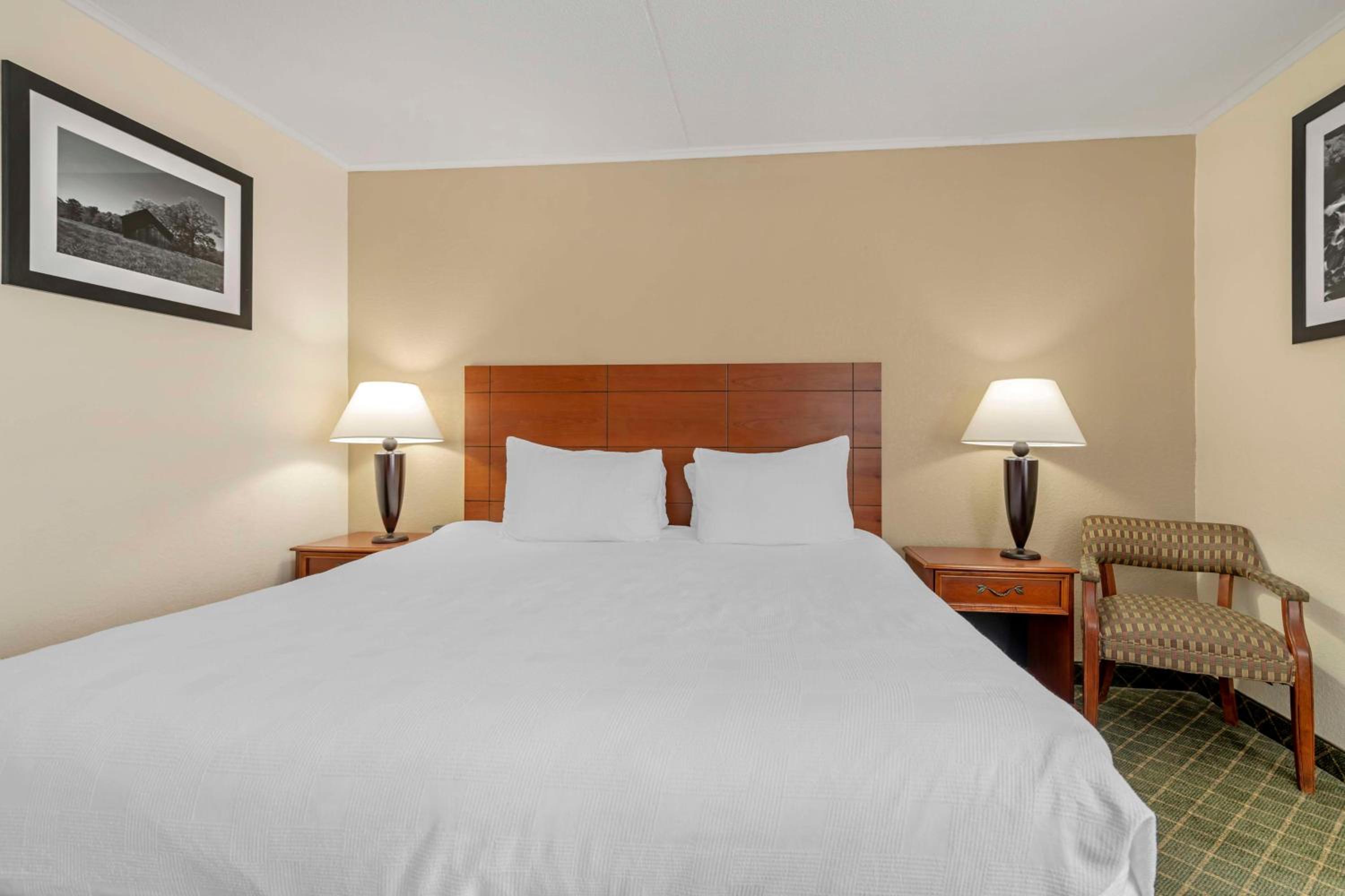 King Room - Non-Smoking