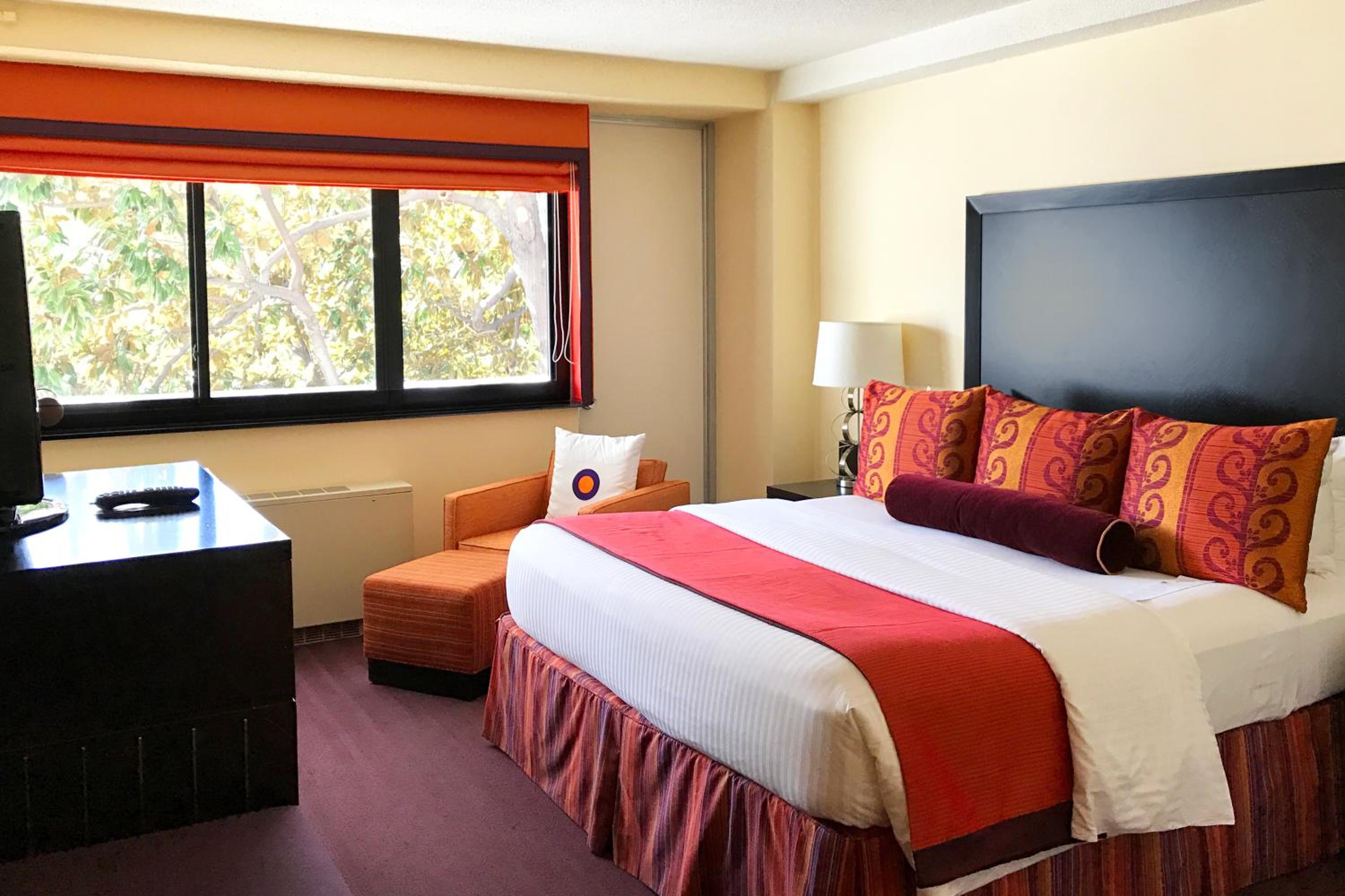 Superior King Room - Accessible 