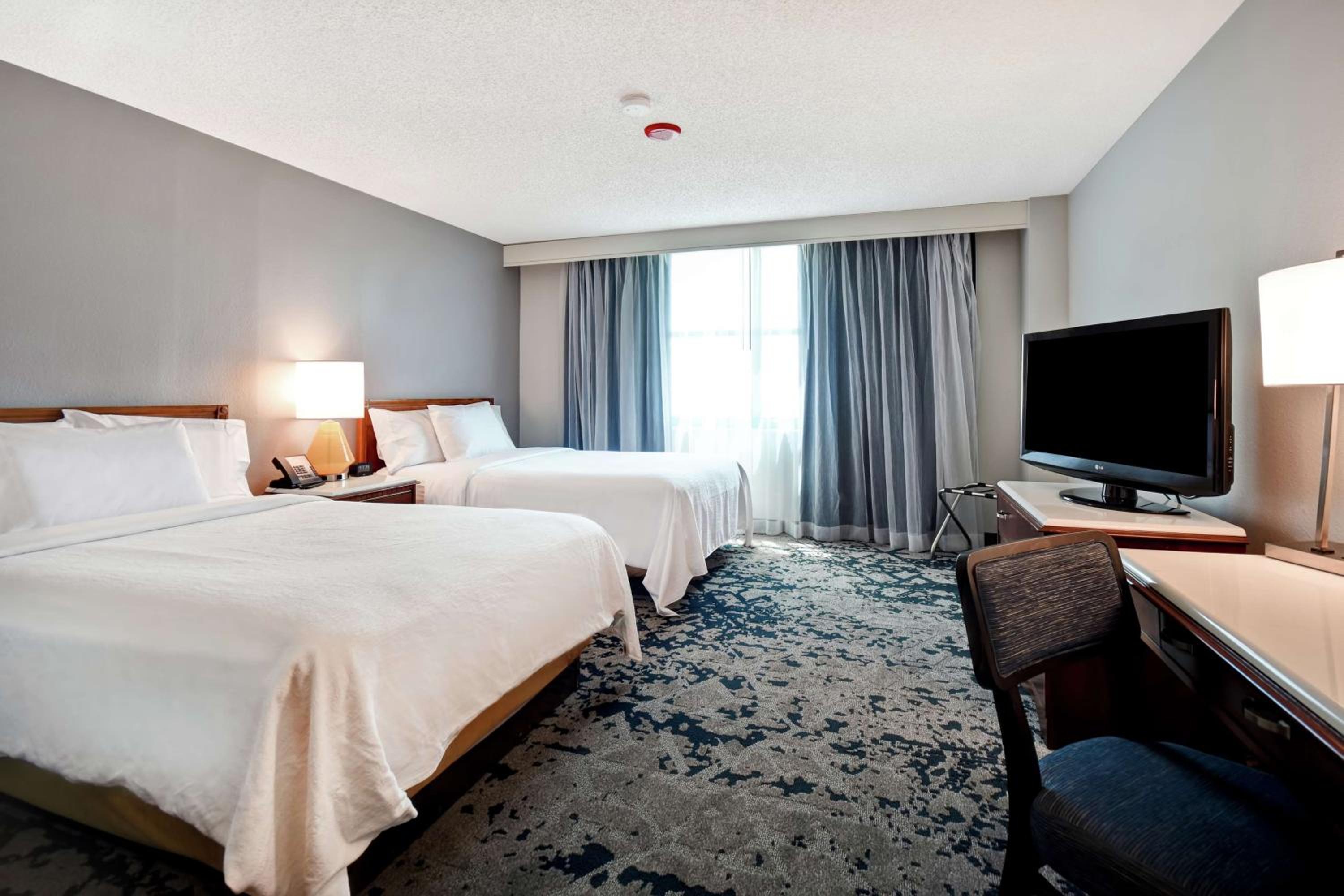 Double Suite - Wellness Allergy Friendly