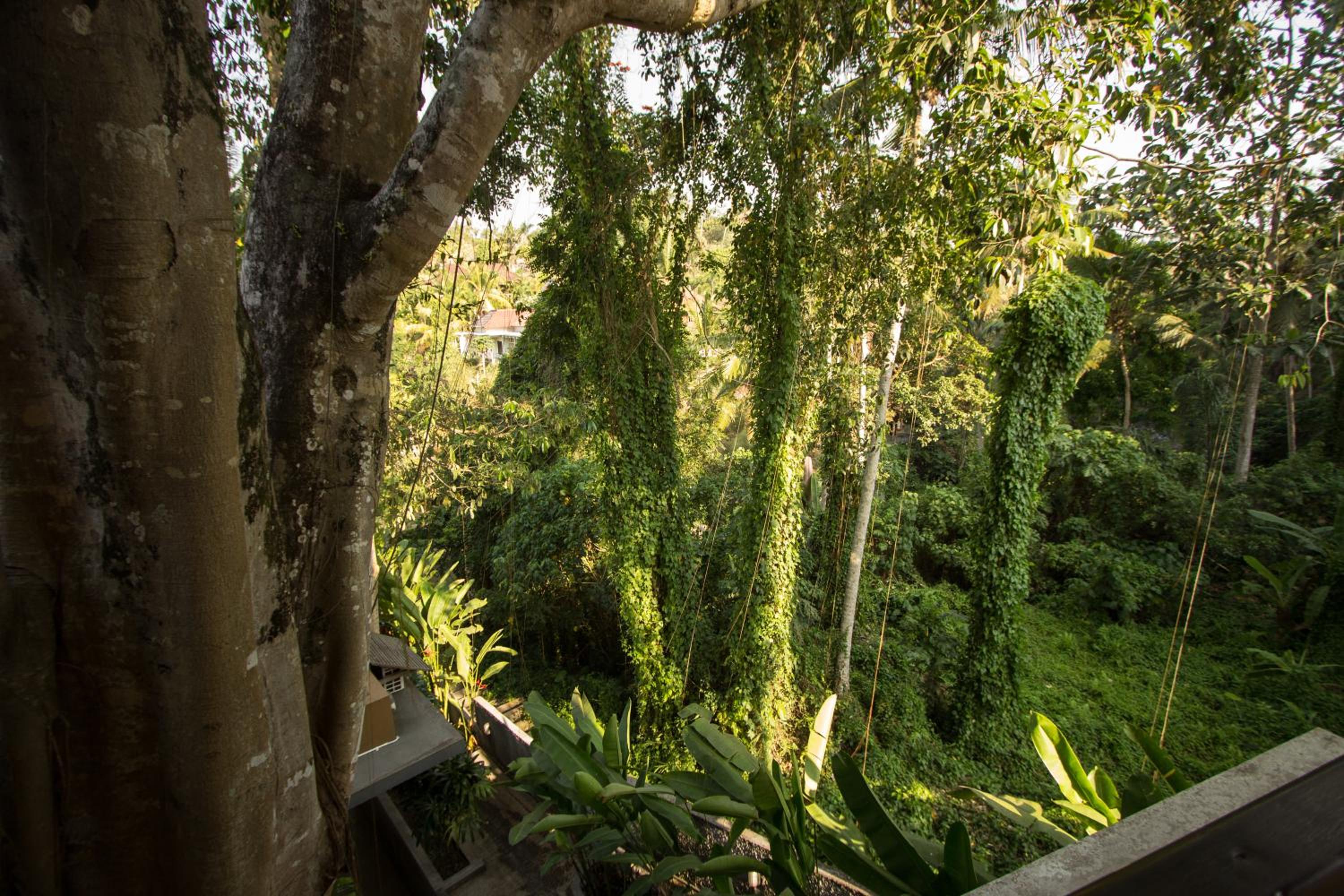 Deluxe Room with River View