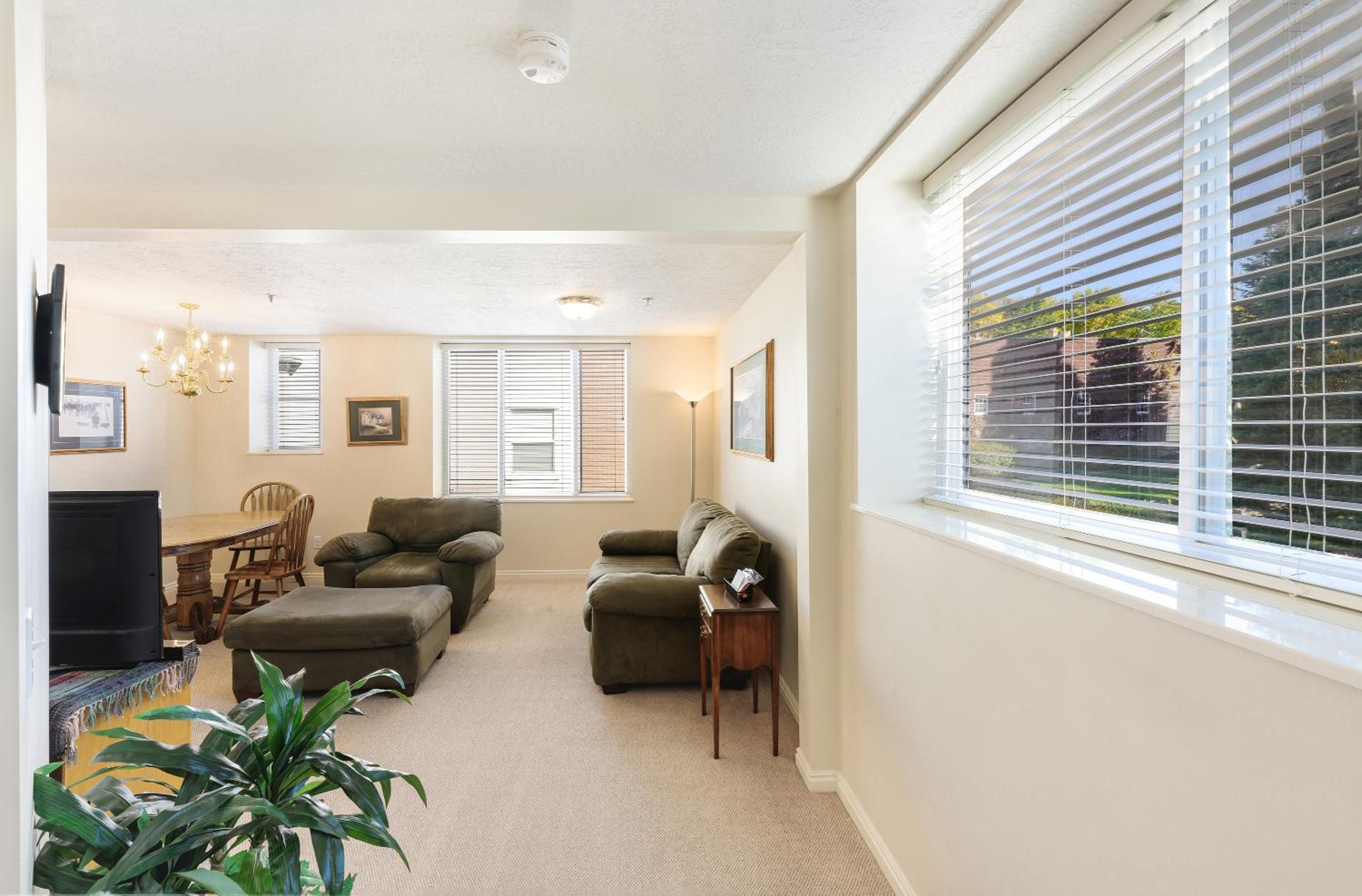 Deluxe One-Bedroom Apartment