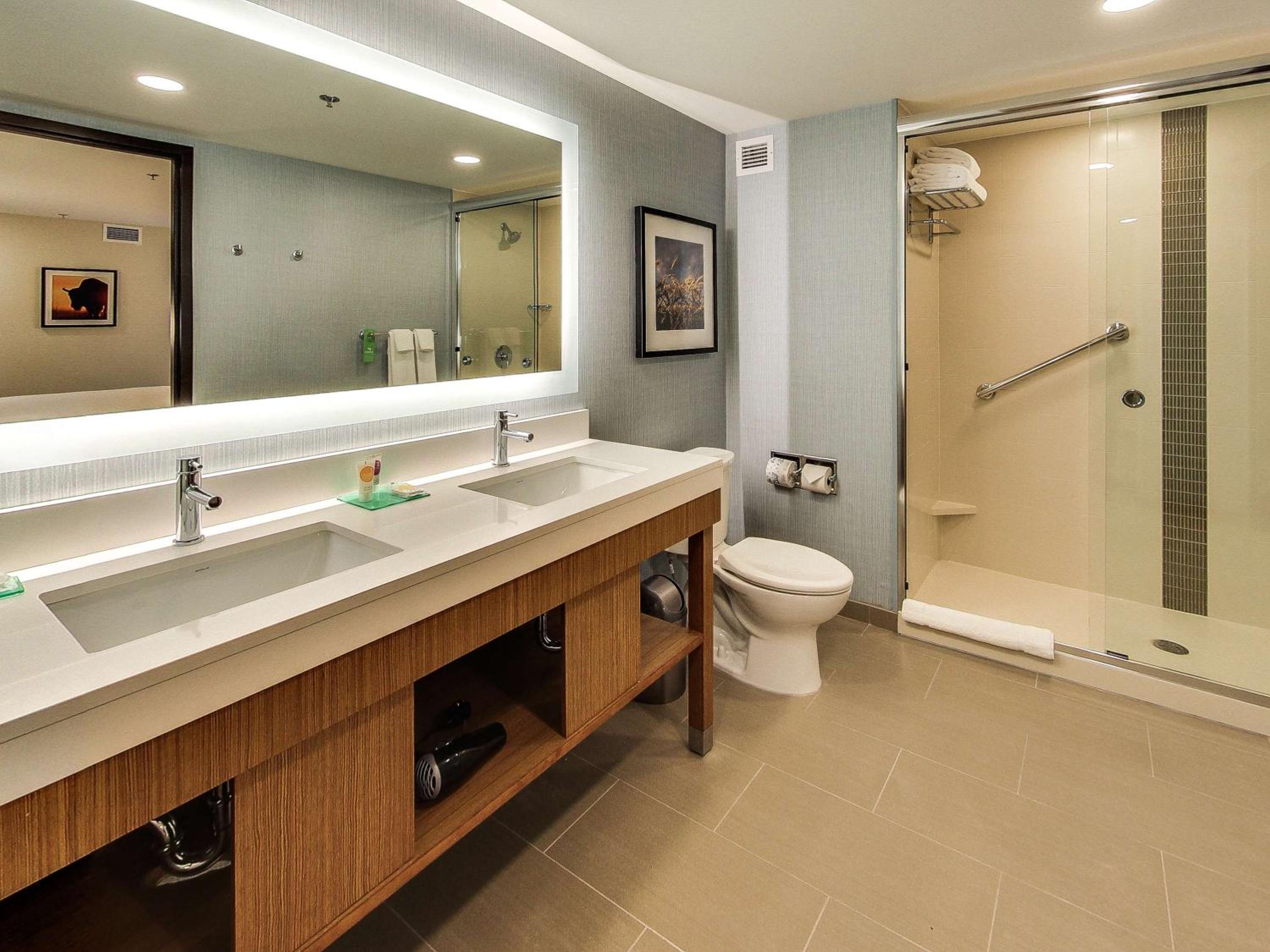 One-Bedroom King Suite with Sofa Bed