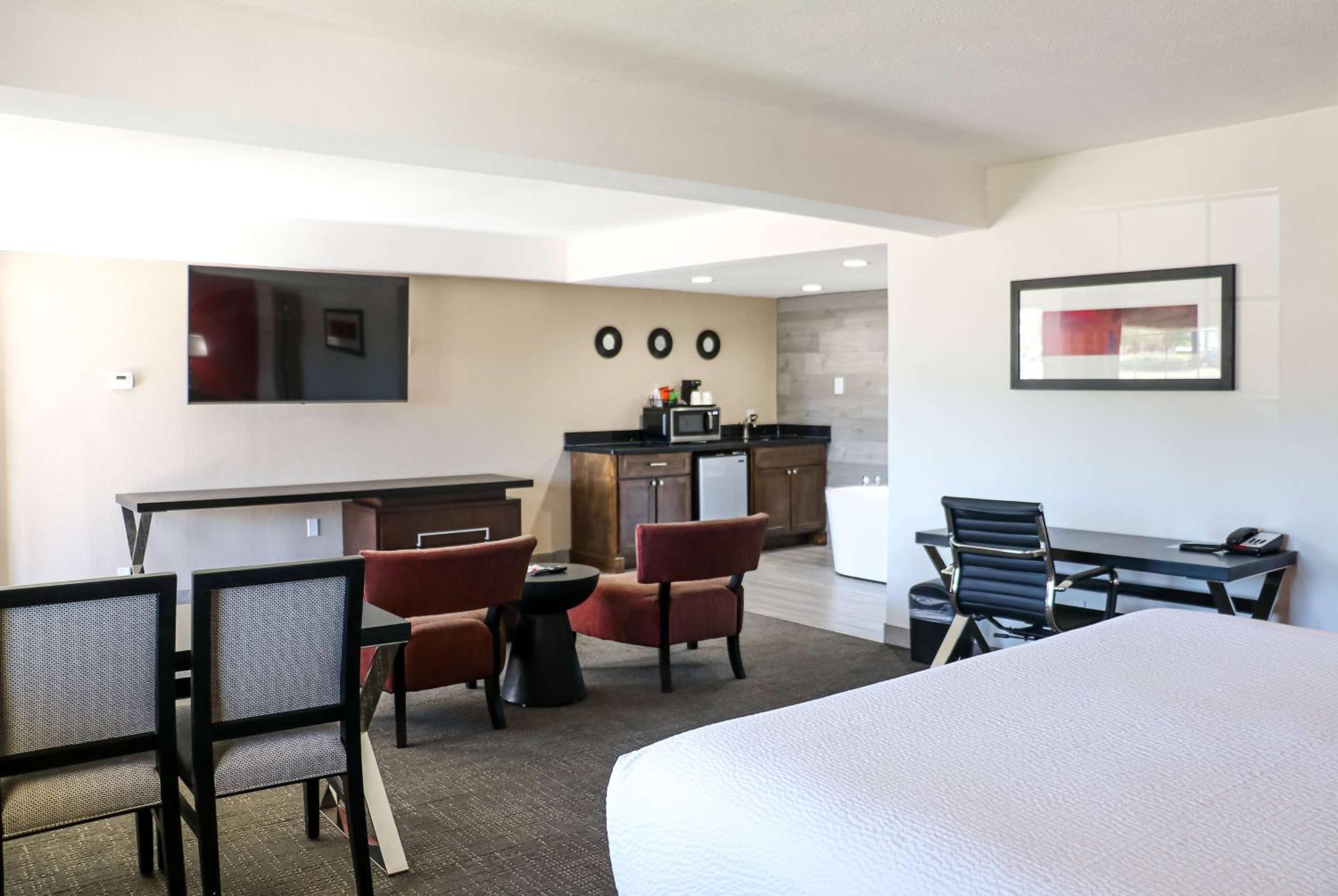 Deluxe One-Bedroom King Suite - Non-Smoking