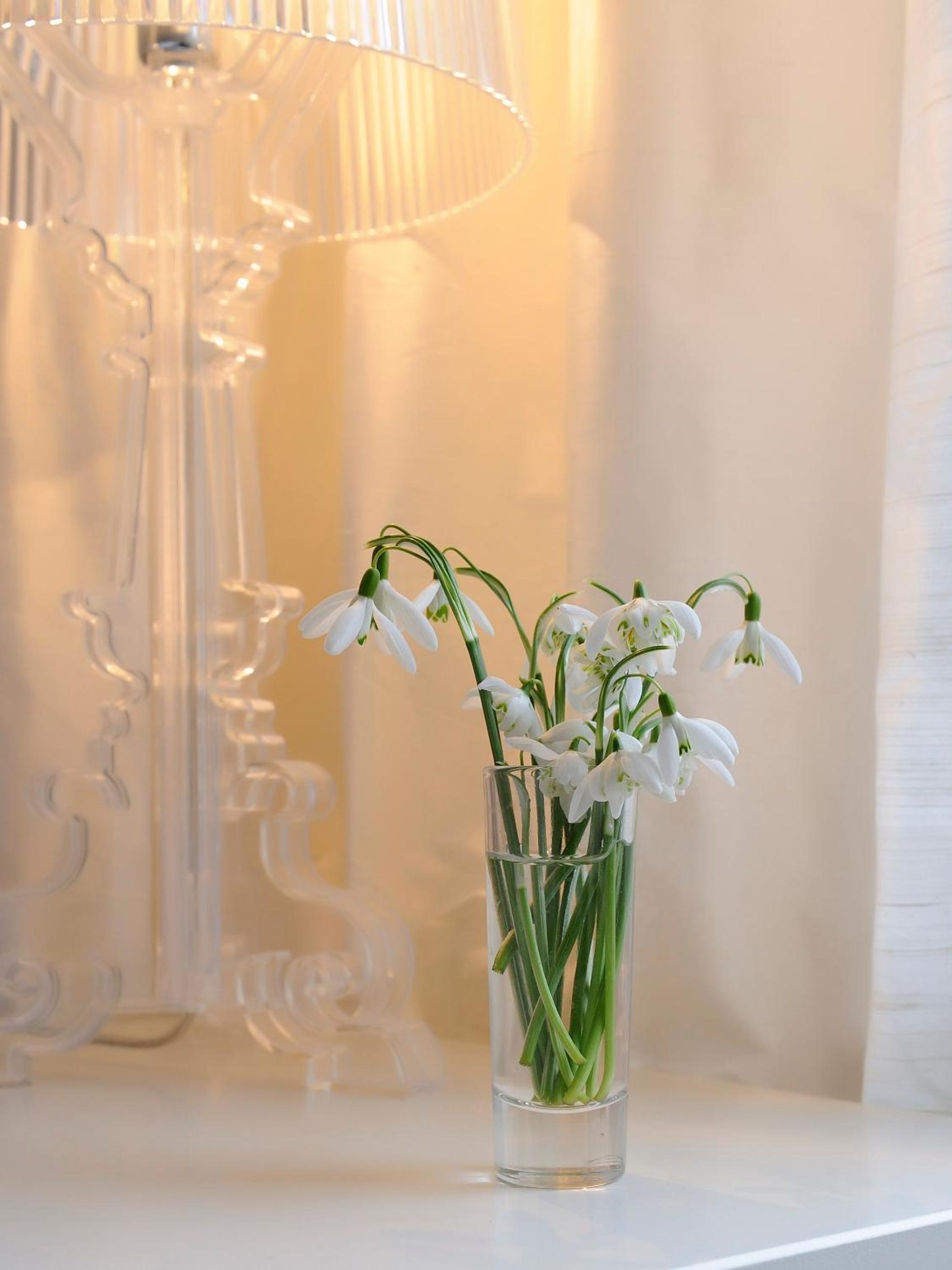 Twin Room with Bathroom