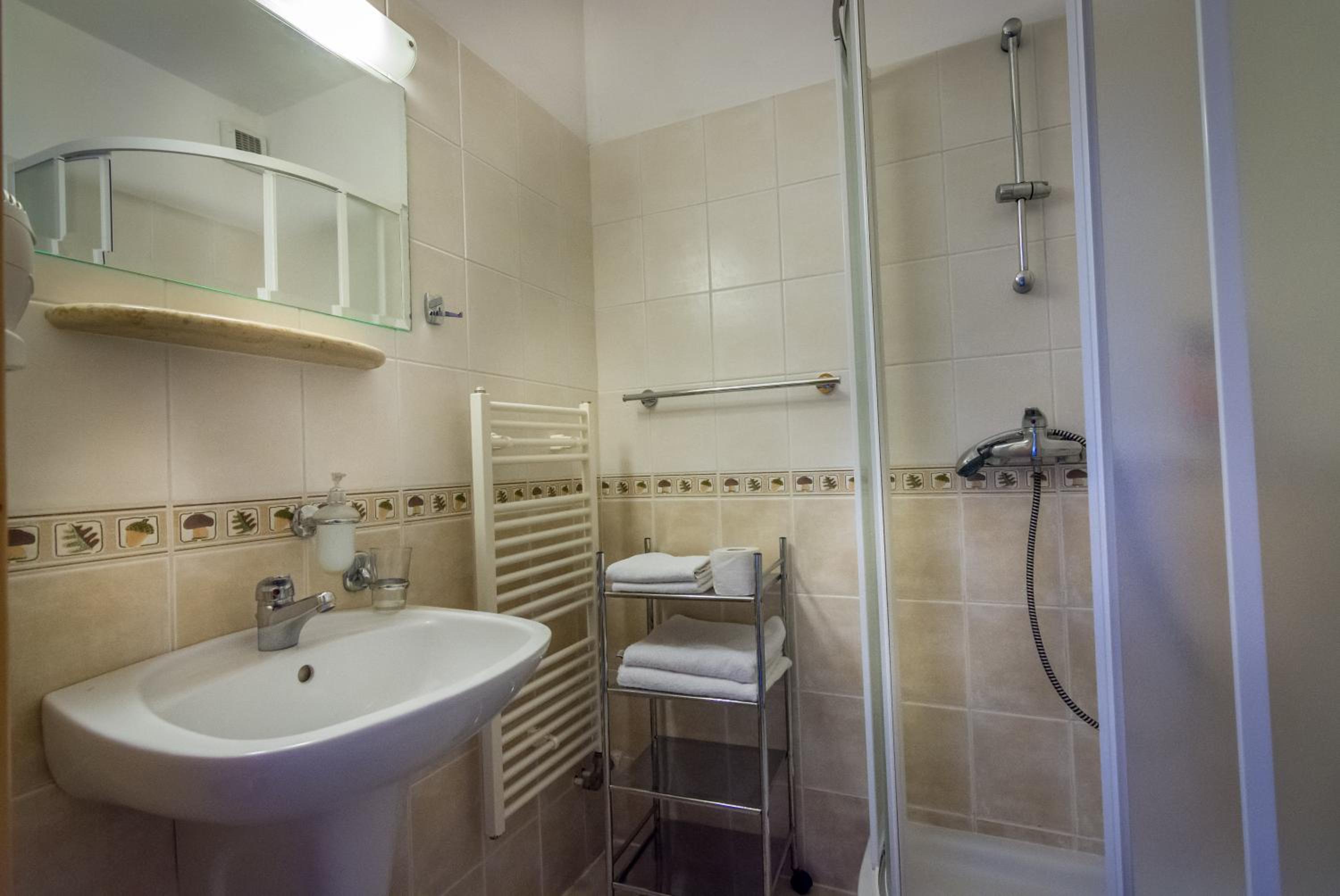 Double Room with Wellness Access