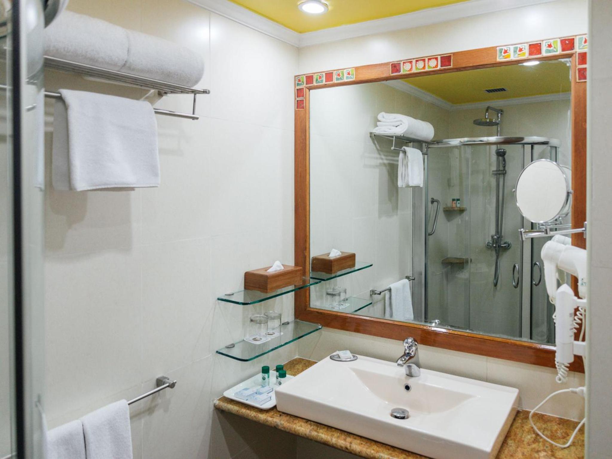 Deluxe Double or Twin Room
