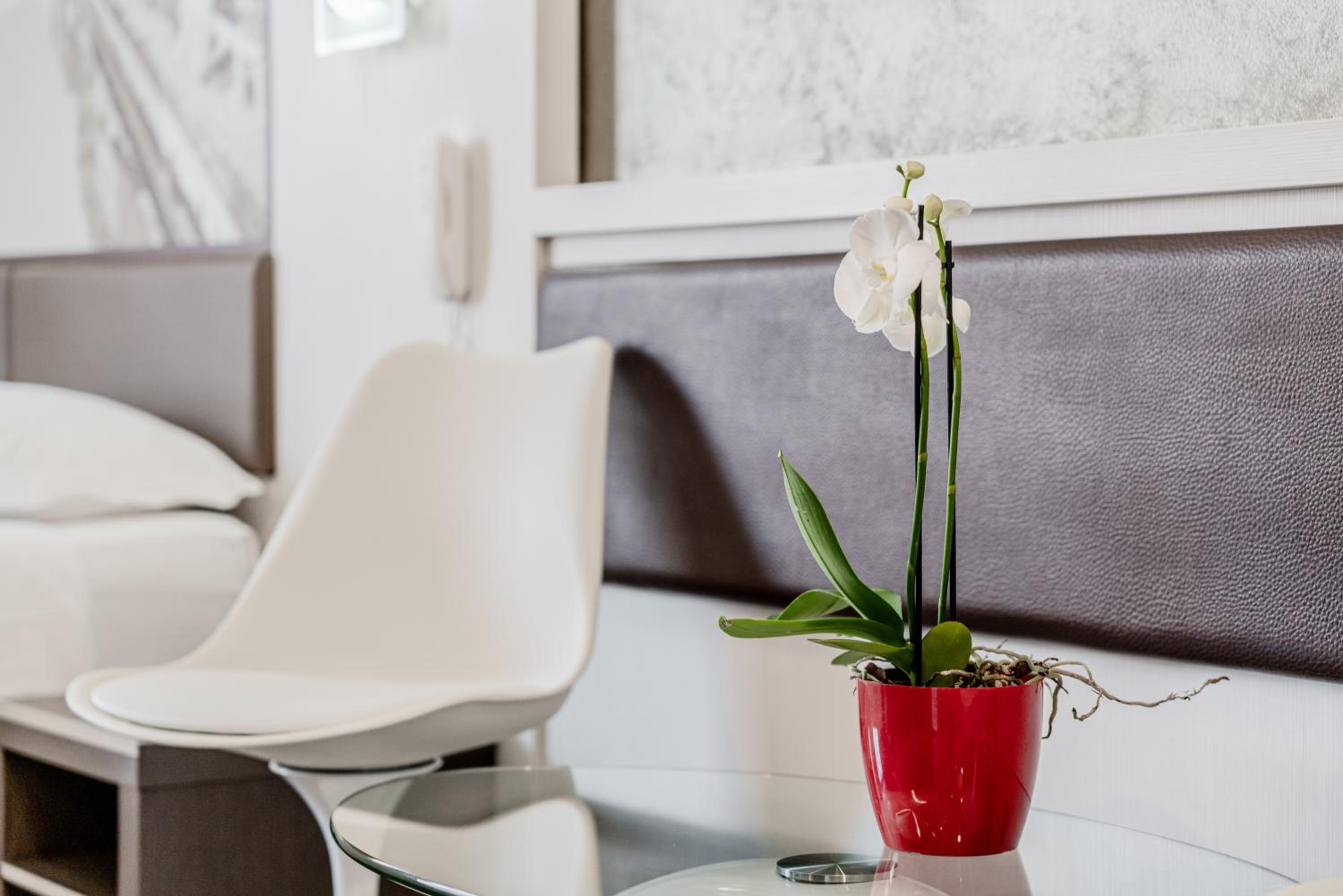 Superior Double Room with Terrace