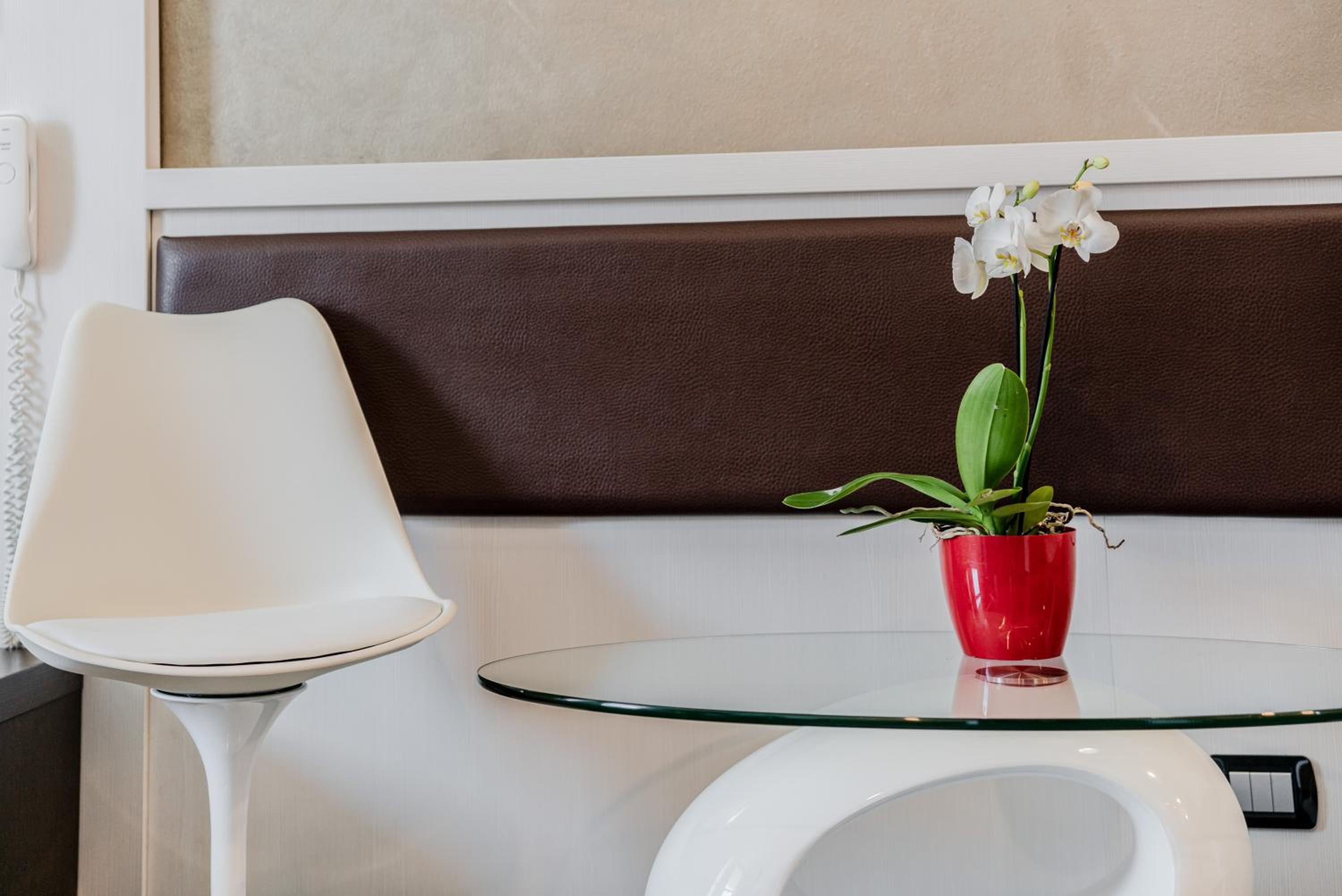 Superior Double Room with Terrace