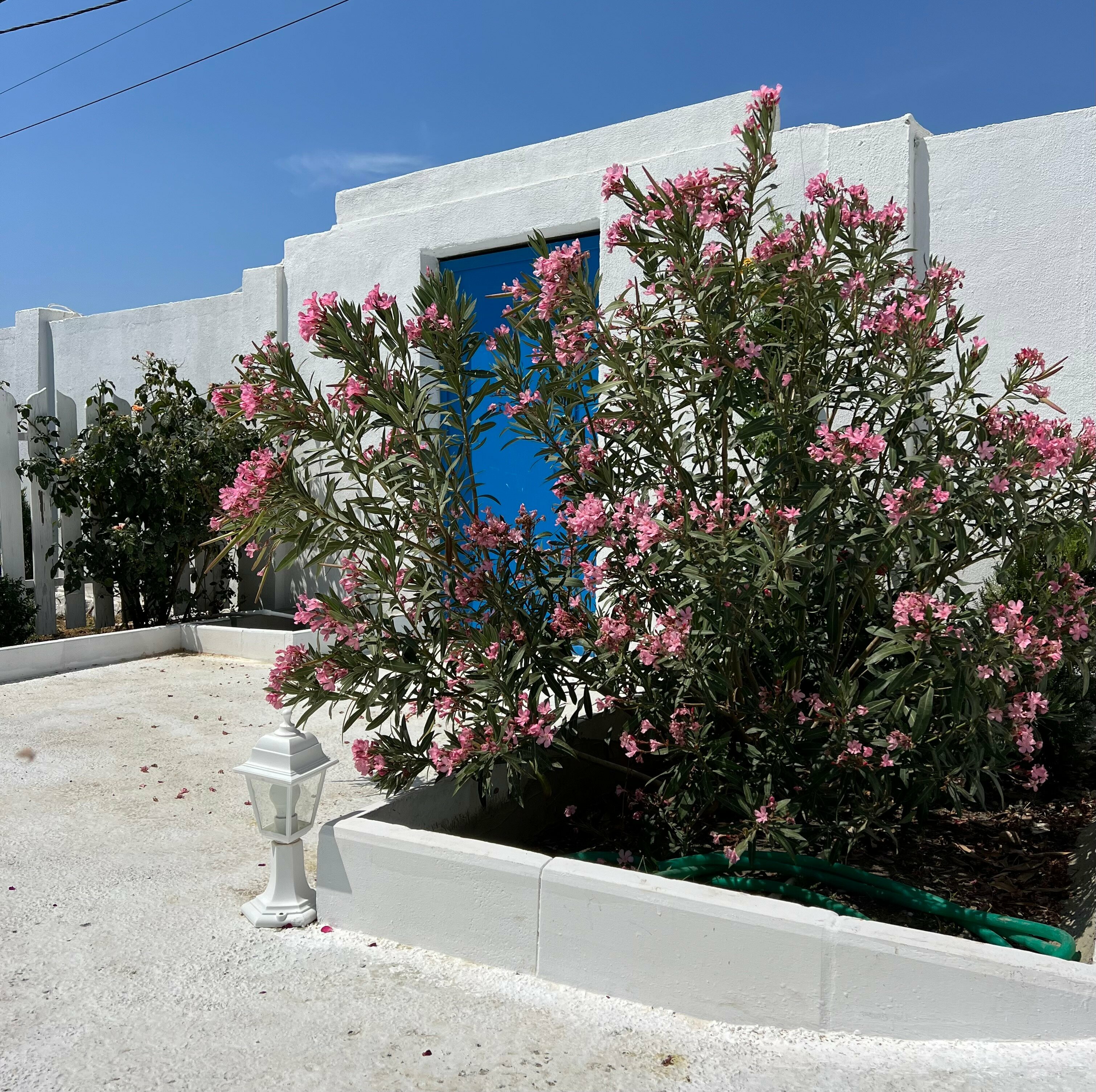 Четырёхместный номер с балконом и видом на море